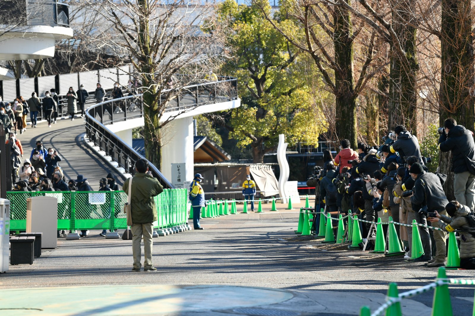 1月12日，媒體記者在日本東京上野動物園拍攝等待入園參觀的遊客。（新華社）