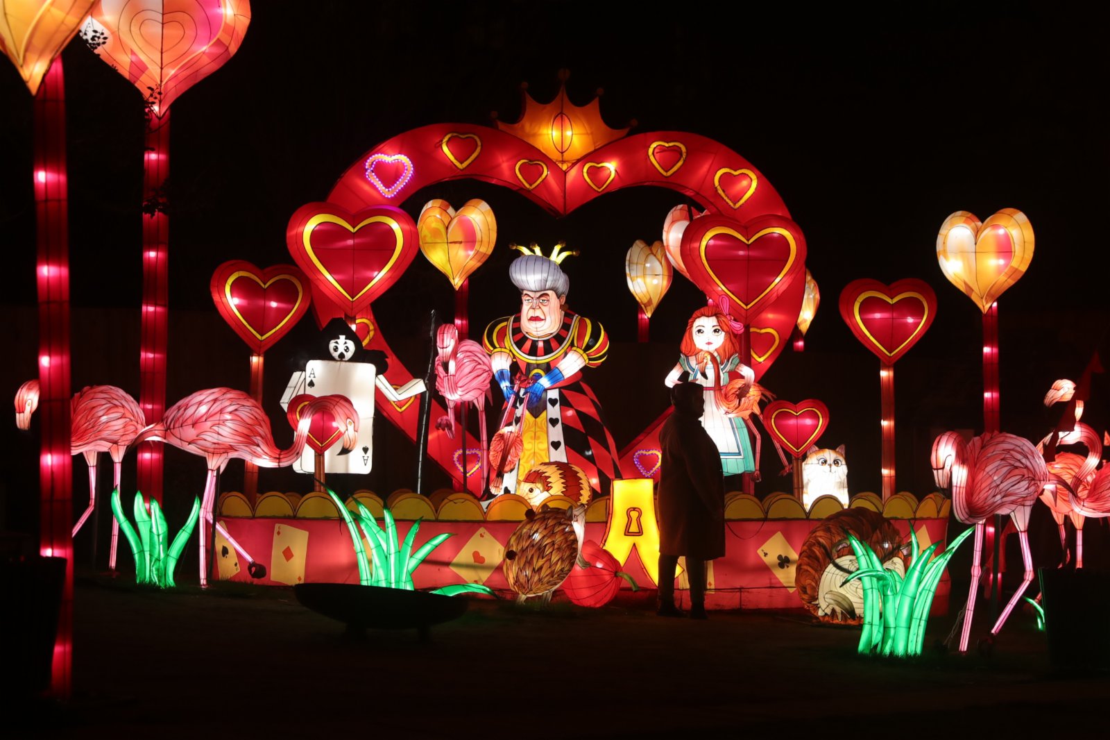 1月12日，遊客在比利時安特衛普動物園參觀第六屆「中國花燈節」。