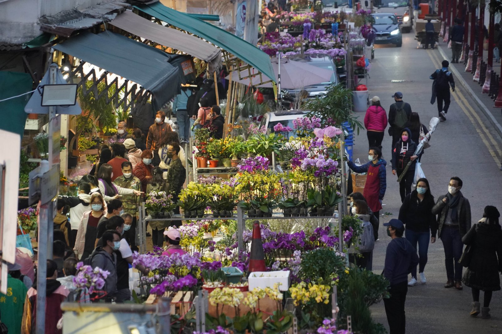 配合農曆新年的年宵花市被取消。圖為市民在旺角花墟買花。（香港文匯報）