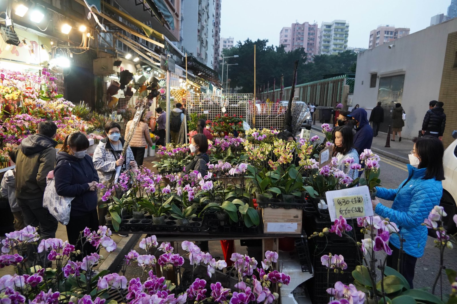 配合農曆新年的年宵花市被取消。圖為市民在旺角花墟買花。（香港文匯報）