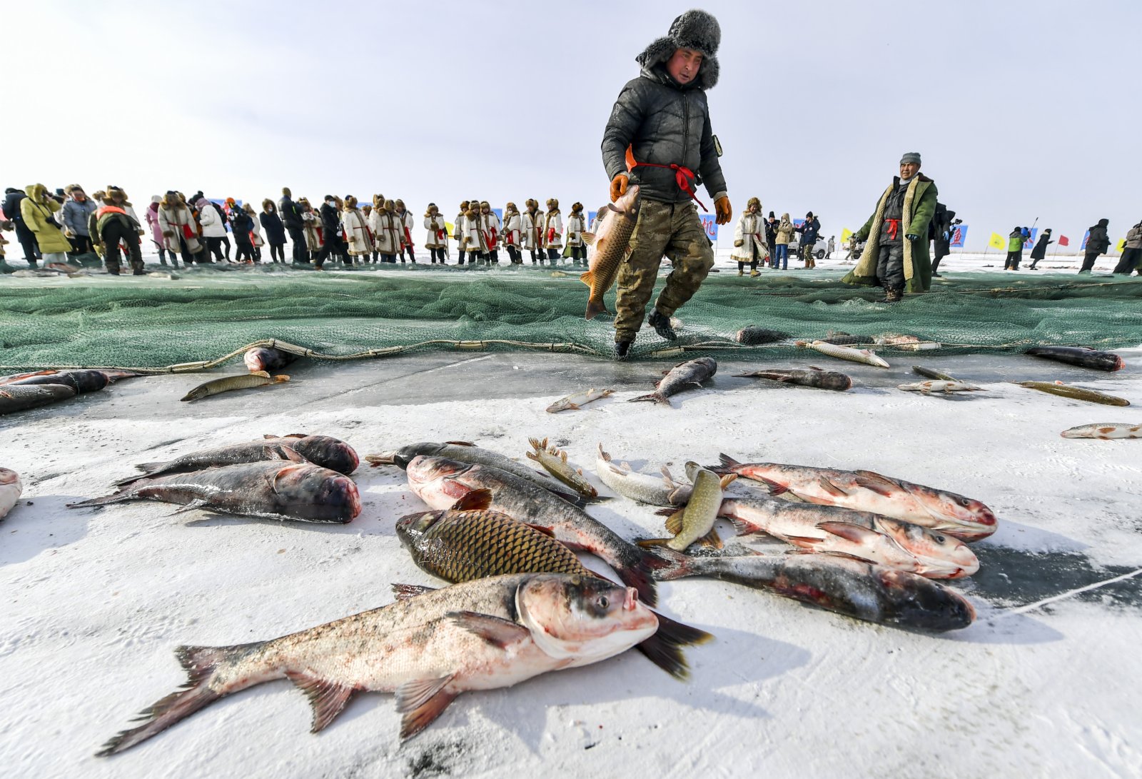 當天的冰上大拉網共捕獲各種魚類10噸左右。