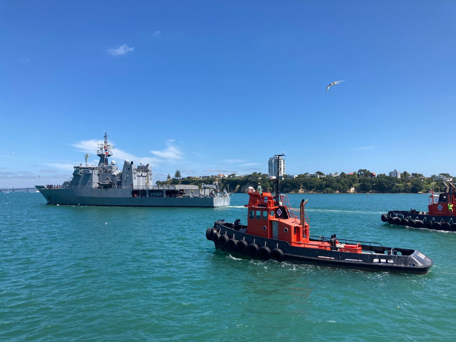1月18日，新西蘭海軍惠靈頓號艦（左）從位於奧克蘭的德文波特軍港啟航前往湯加。新華社發（新西蘭國防部供圖）