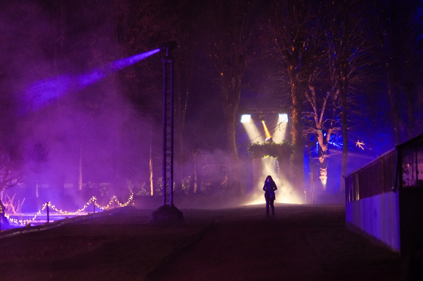 1月20日，在比利時布魯塞爾附近的拜加登城堡，觀眾欣賞燈光裝置。（新華社）