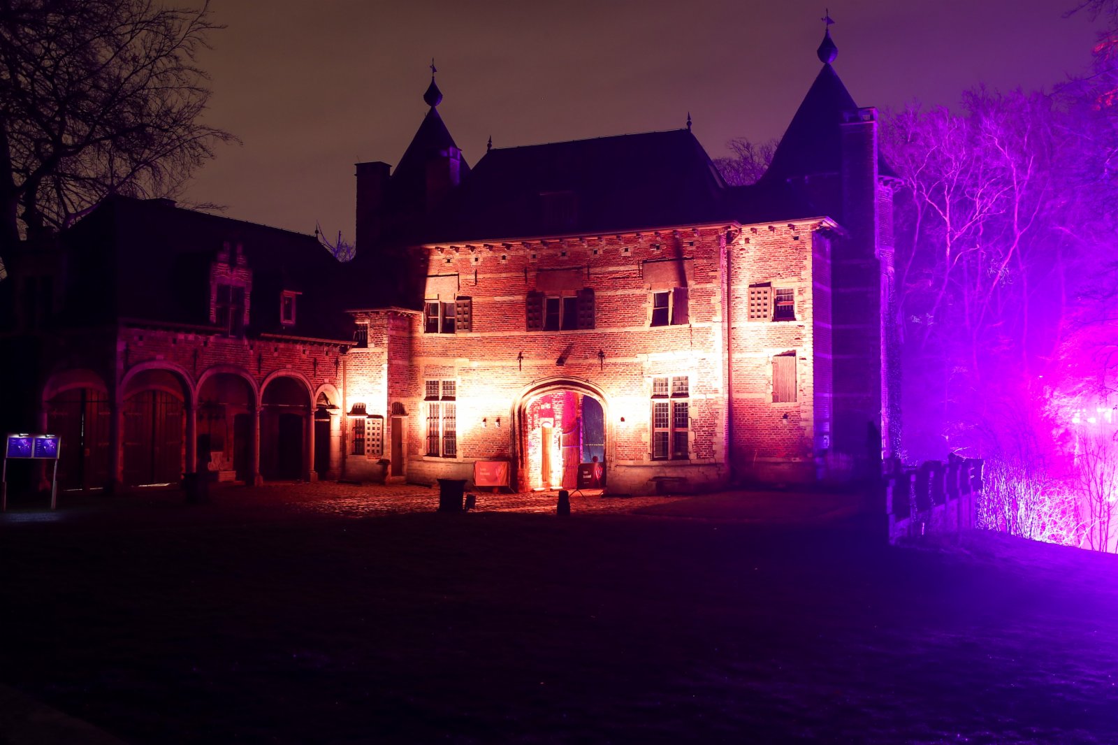 這是1月20日在比利時布魯塞爾附近的拜加登城堡拍攝的一處燈光裝置。（新華社）