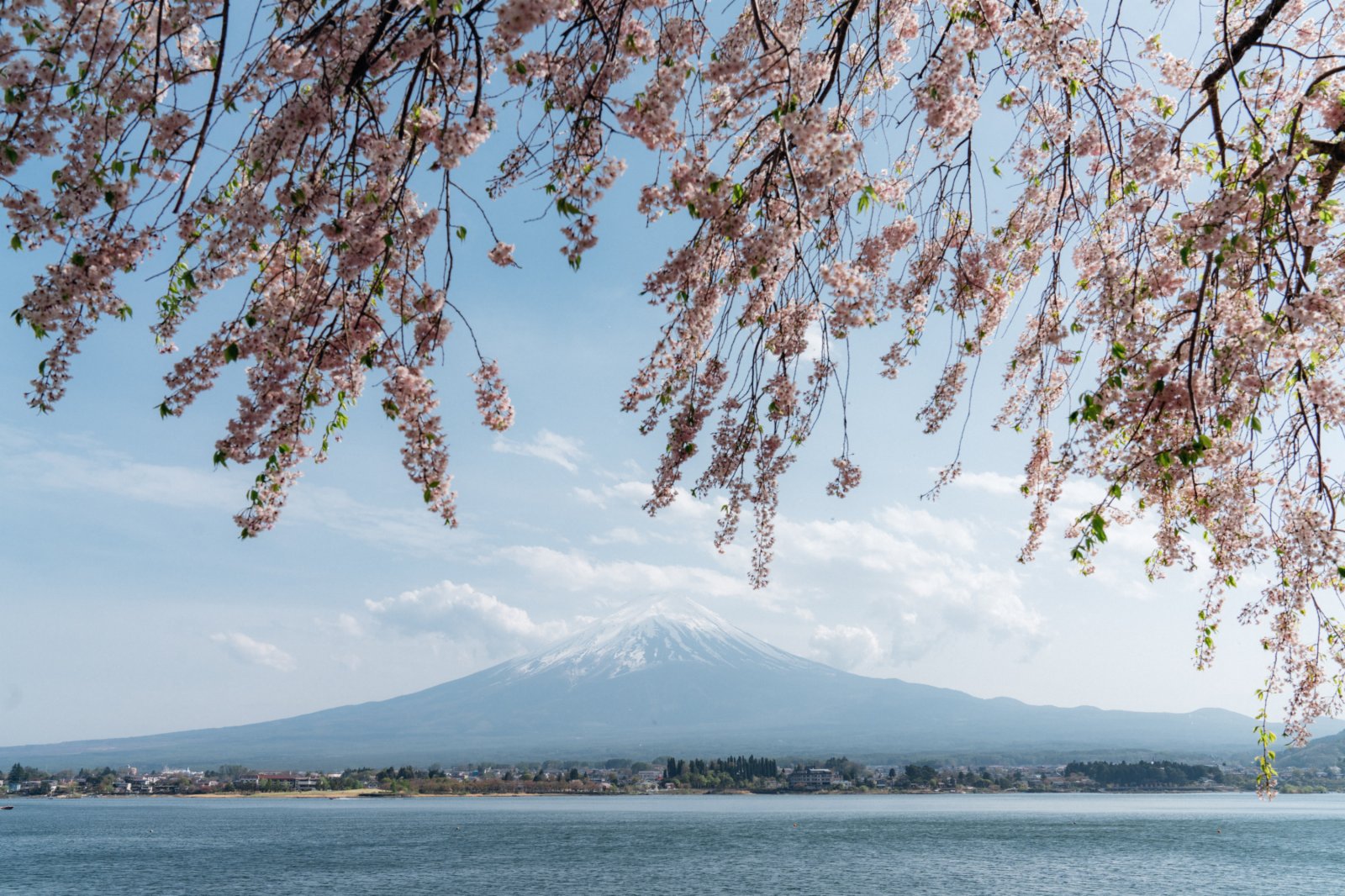 日本山梨縣河口湖和富士山。（新華社）