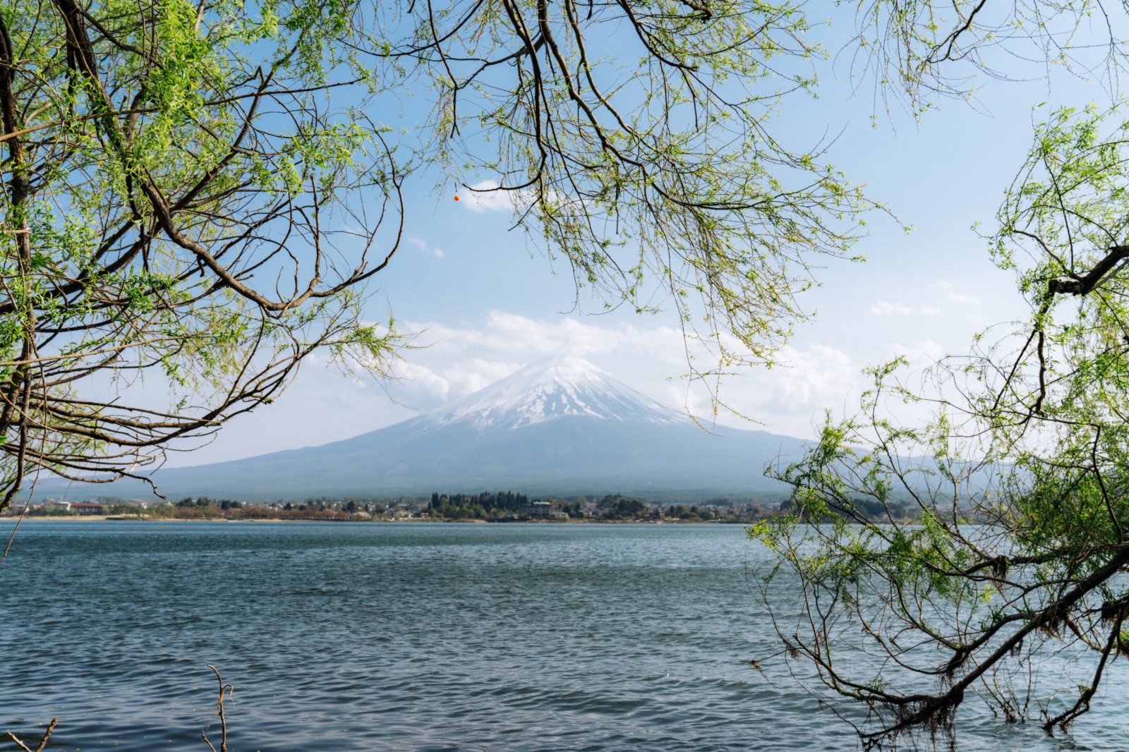 日本山梨縣河口湖和富士山。（新華社）
