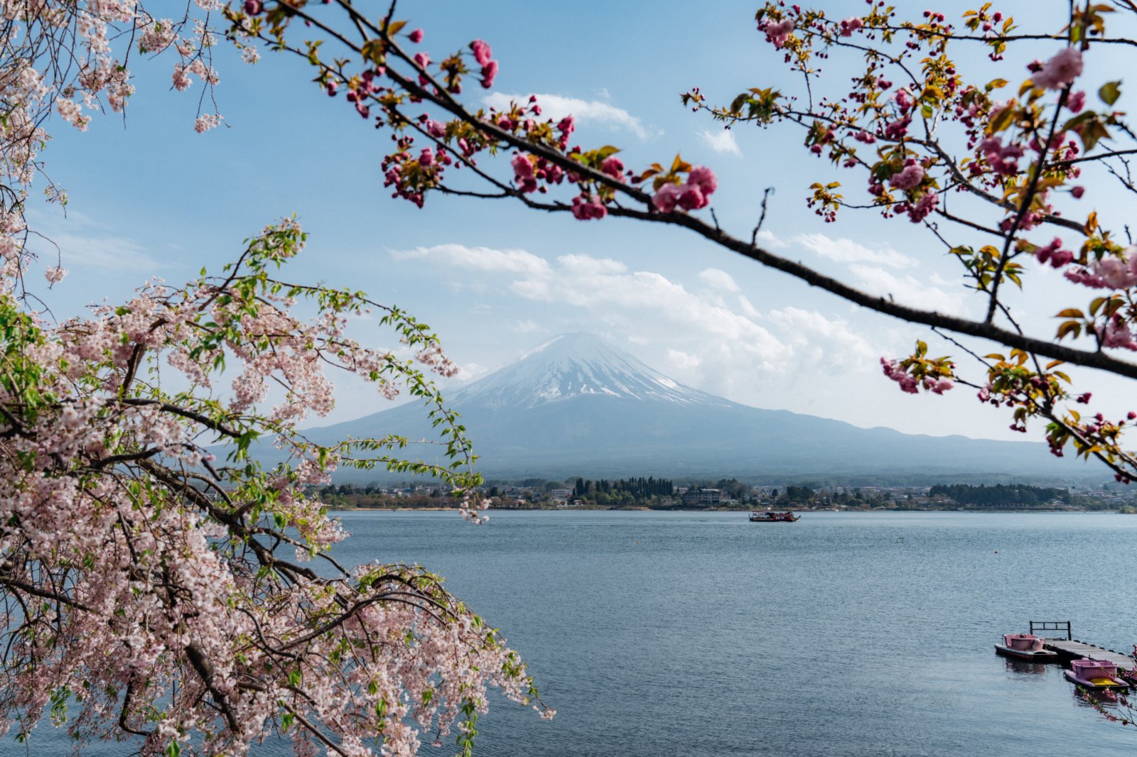 日本山梨縣河口湖和富士山。（新華社）