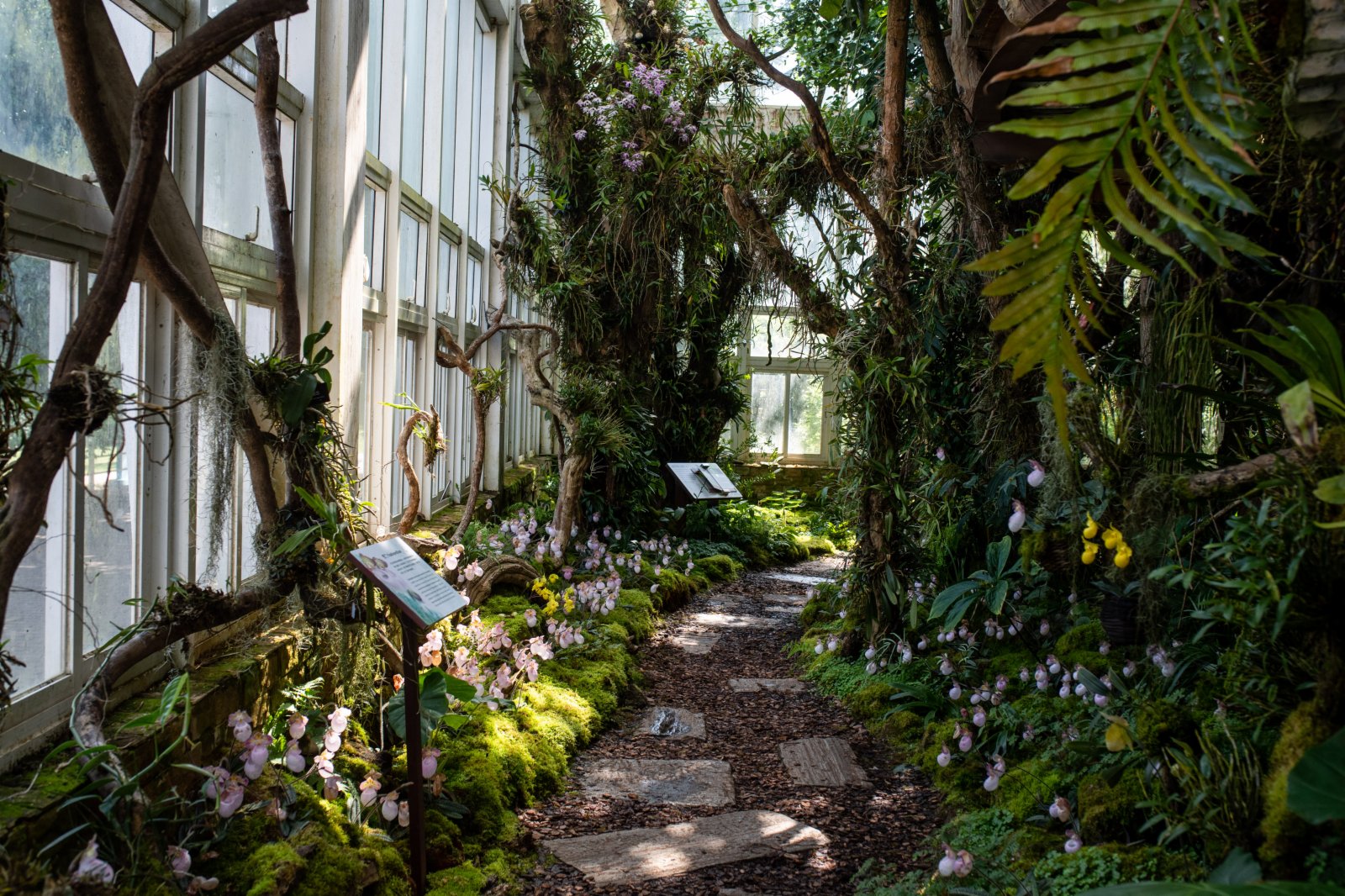 昆明植物園「扶荔宮」蘭花館一景。（新華社）