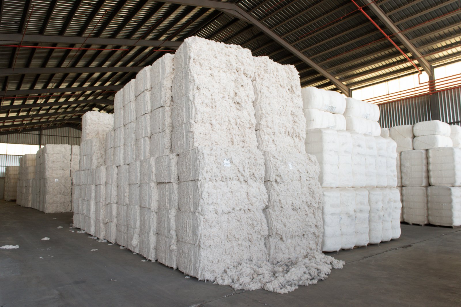 這是5月11日在西班牙塞維利亞一家軋棉公司內拍攝的庫存。（新華社）
