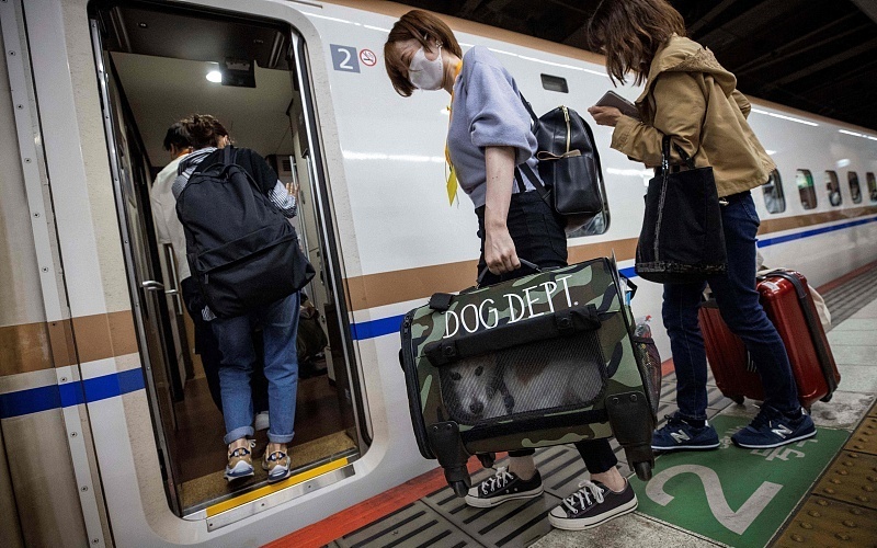 當地時間21日,日本長野縣,列車上狗狗和主人同行。 當地時間21日,日本長野縣,列車上狗狗和主人同行。