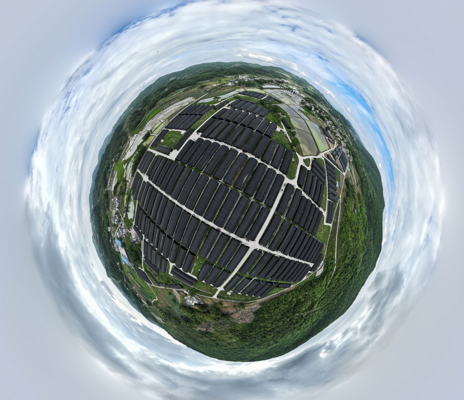 5月23日在道真仡佬族苗族自治縣隆興鎮浣溪村拍攝的食用菌種植基地。（新華社）