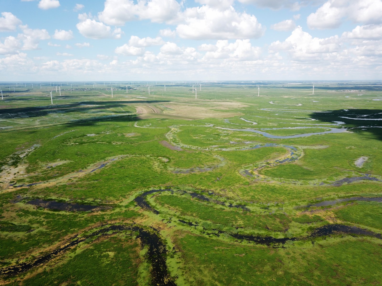 這是6月16日拍攝的黑龍江烏裕爾河國家級自然保護區的濕地景觀（無人機照片）。