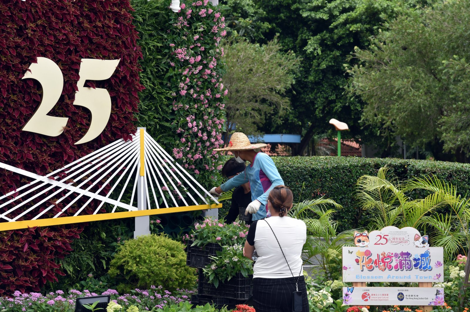  6月20日，工作人員在香港荃灣公園佈置慶祝香港回歸祖國25周年花圃。（新華社）