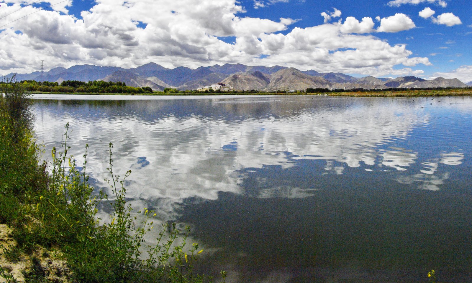 6月21日拍攝的拉魯濕地水面。