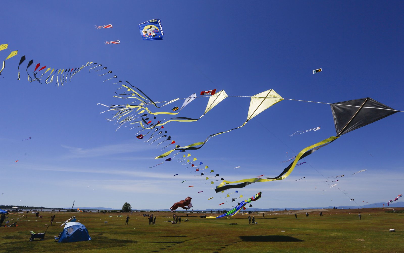 各式各樣的風箏在空中飛翔。