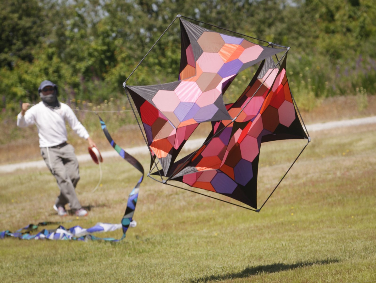 一名男子在環太平洋風箏節上放風箏。