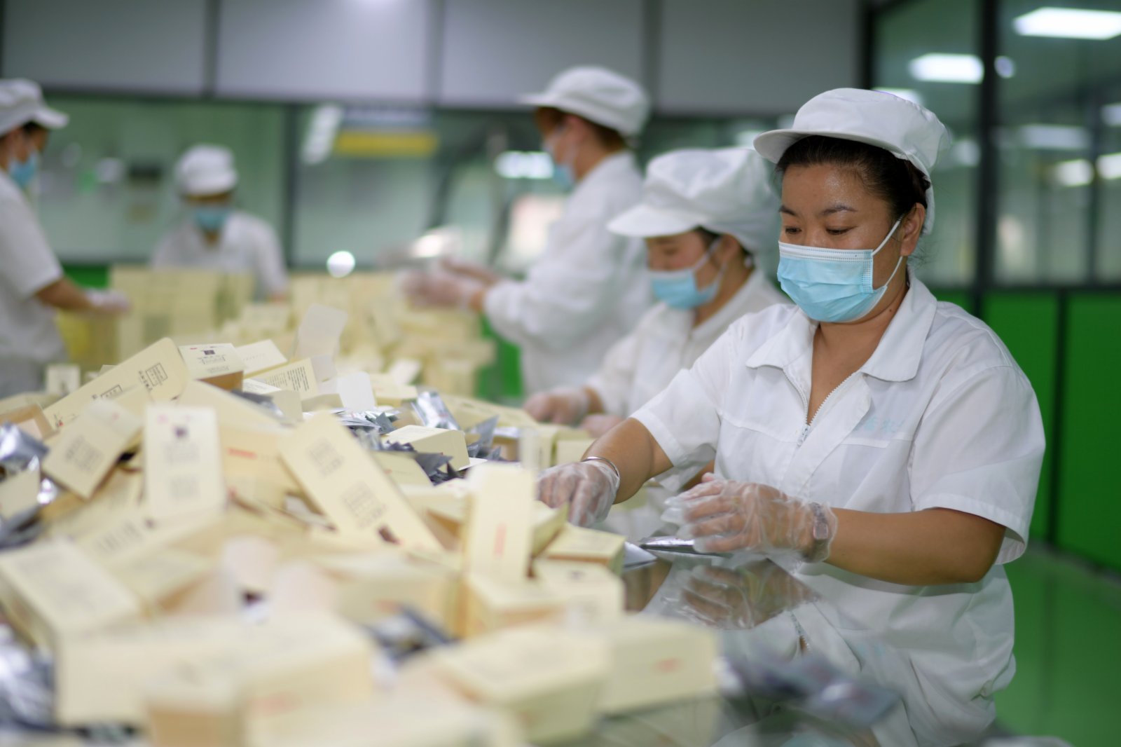 工人在貴州省綏陽縣一家茶葉生產企業包裝金銀花「朵花茶」。（新華社）