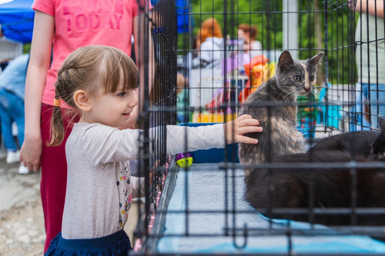 7月23日，在俄羅斯符拉迪沃斯托克市雷鎮公園內，一位小女孩撫摸籠子裏的小貓。（新華社）