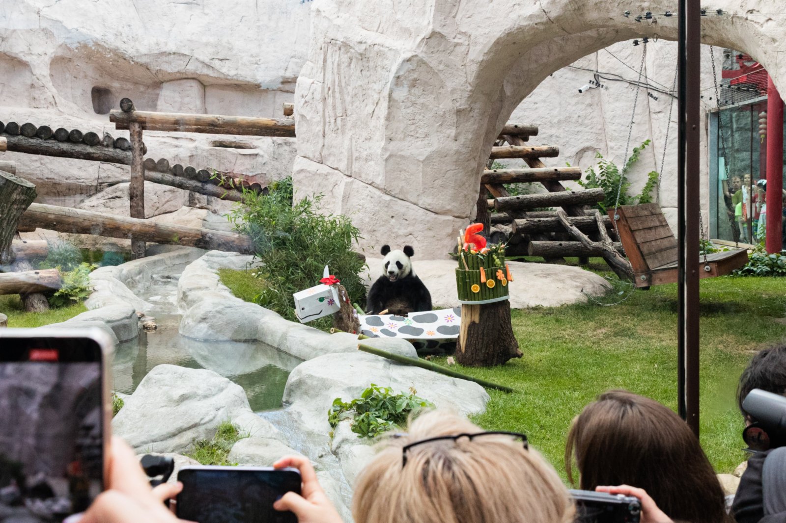 在俄羅斯首都莫斯科，人們觀看大熊貓「丁丁」。
