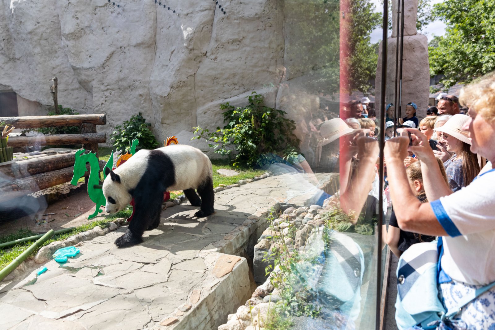 在俄羅斯首都莫斯科，人們觀看大熊貓「如意」玩耍。