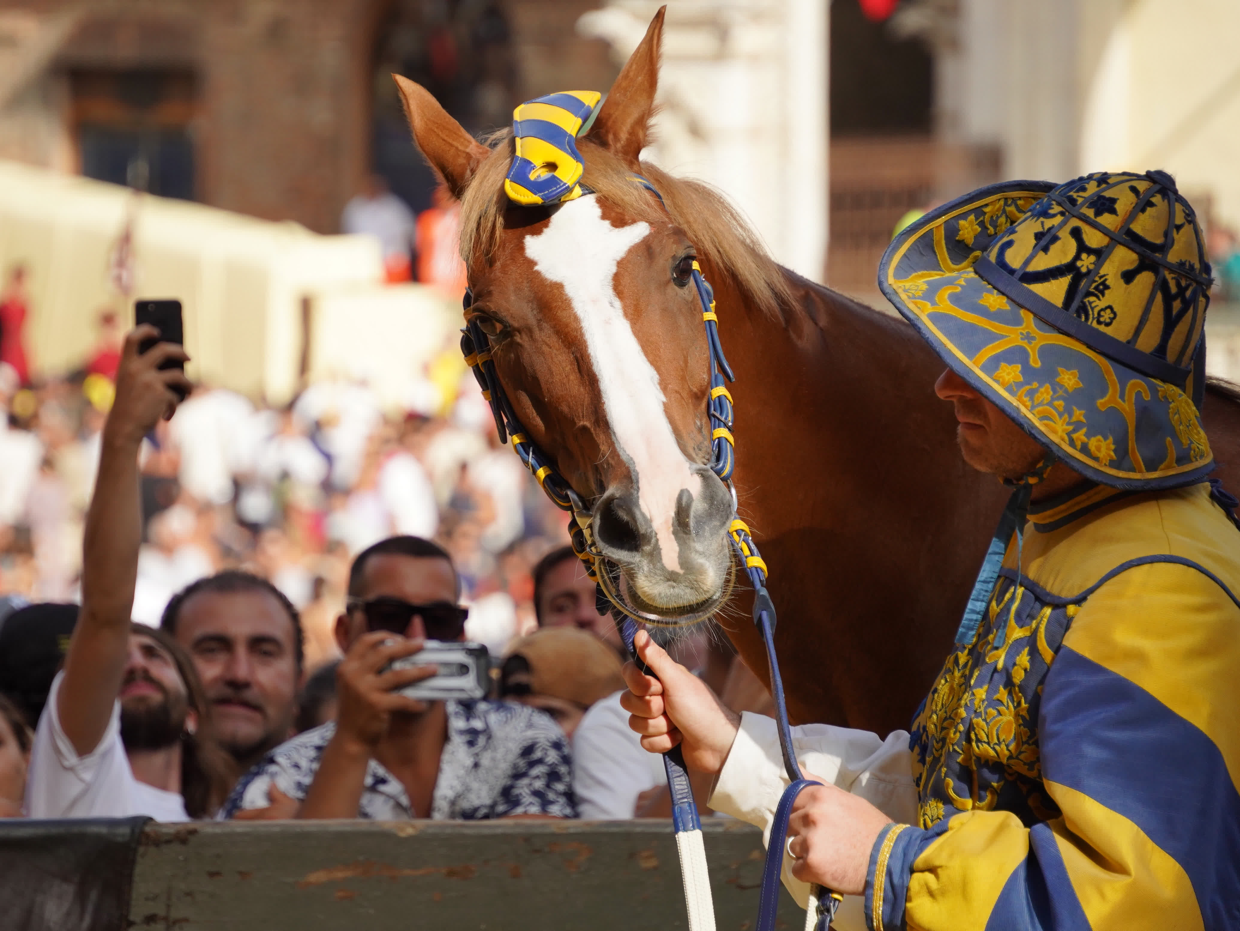 8月17日，一名錶演者牽馬參加意大利錫耶納賽馬節古裝巡遊。（新華社）