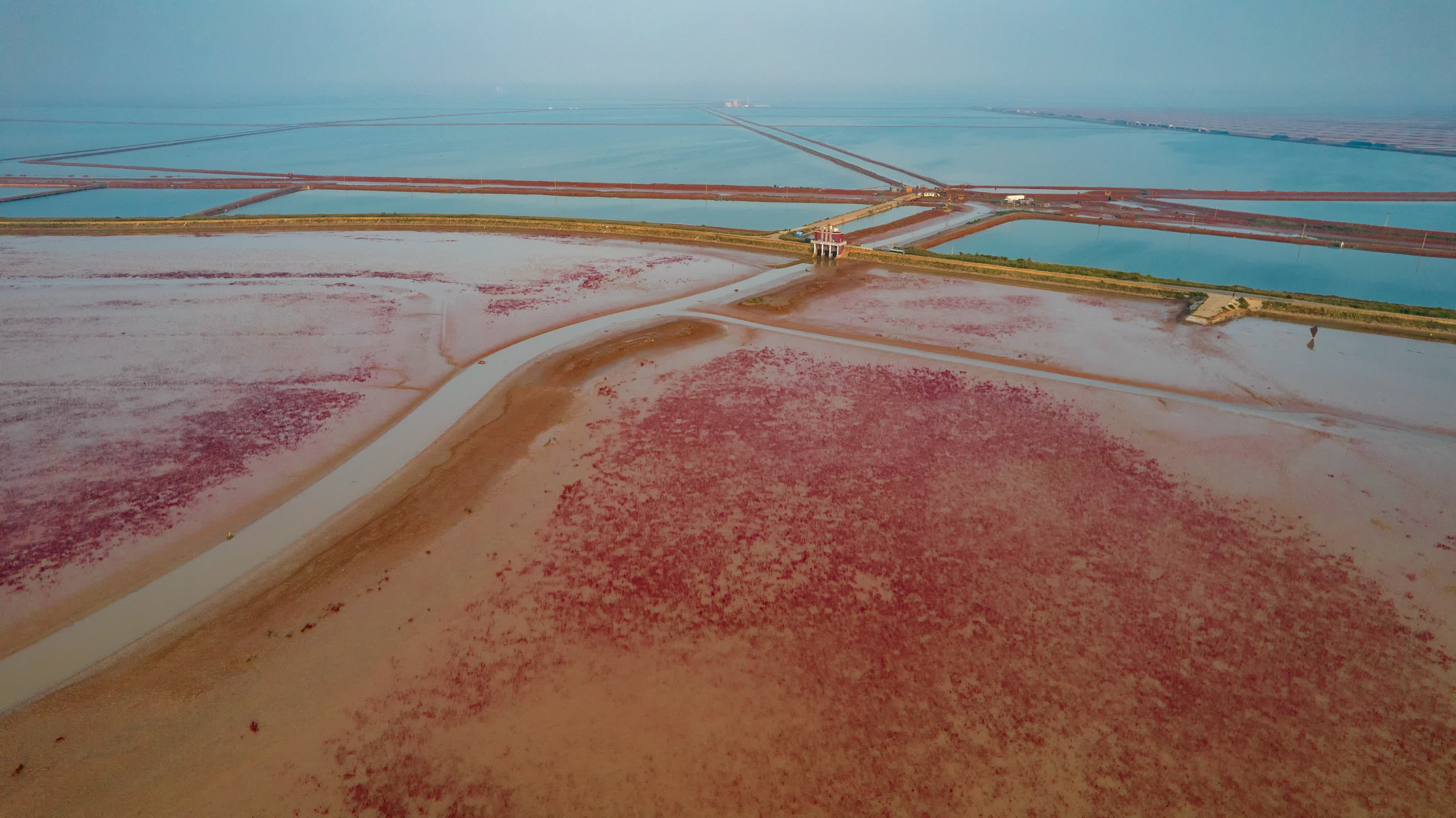 9月18日在山東黃河三角洲國家級自然保護區拍攝的濕地景色（無人機照片）。（新華社）