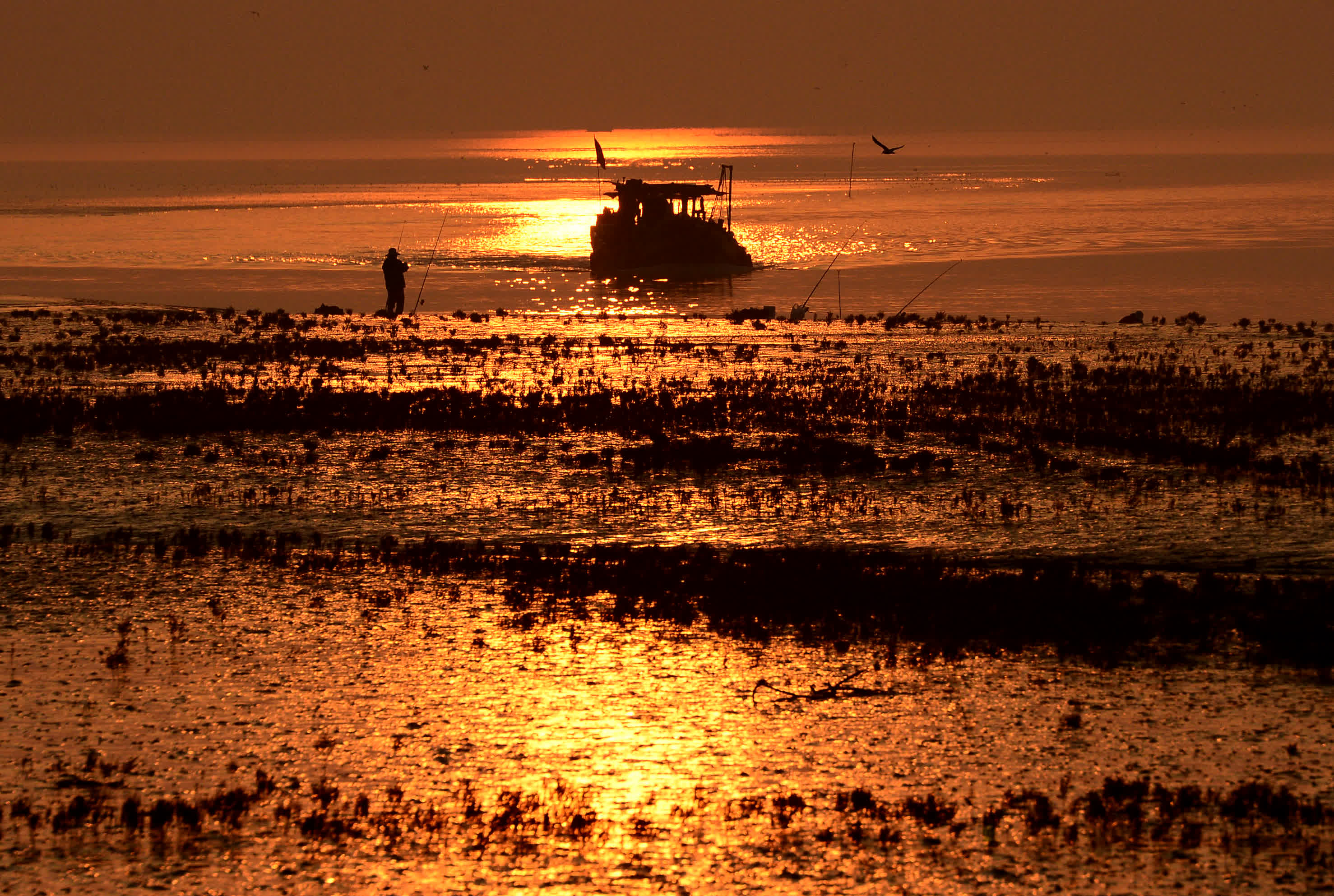 9月18日在山東黃河三角洲國家級自然保護區拍攝的夕陽下的濕地景色。（新華社）