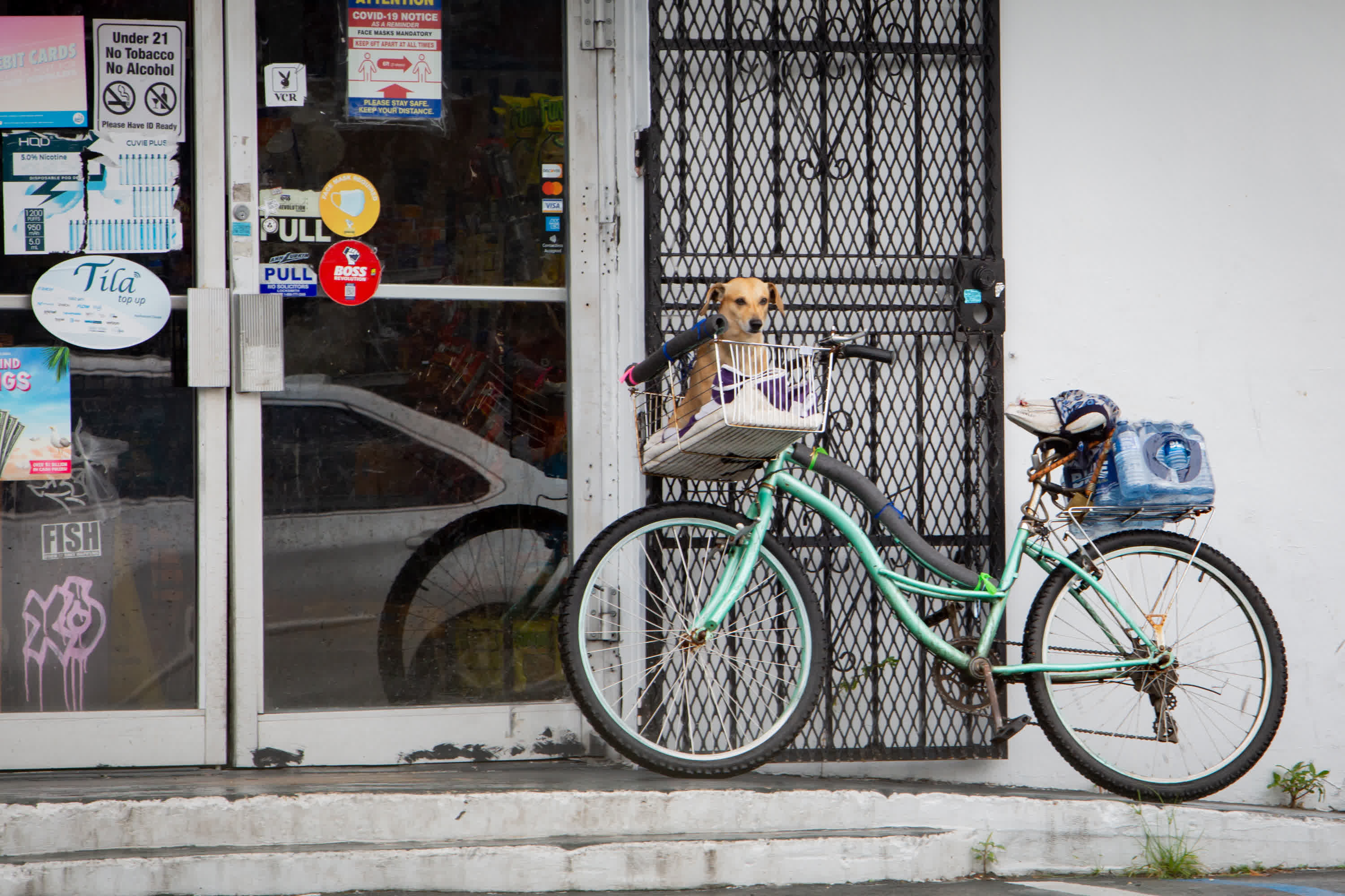 9月27日，在美國佛羅里達州邁阿密，一輛裝載着瓶裝水的自行車停在商店門前。（新華社）