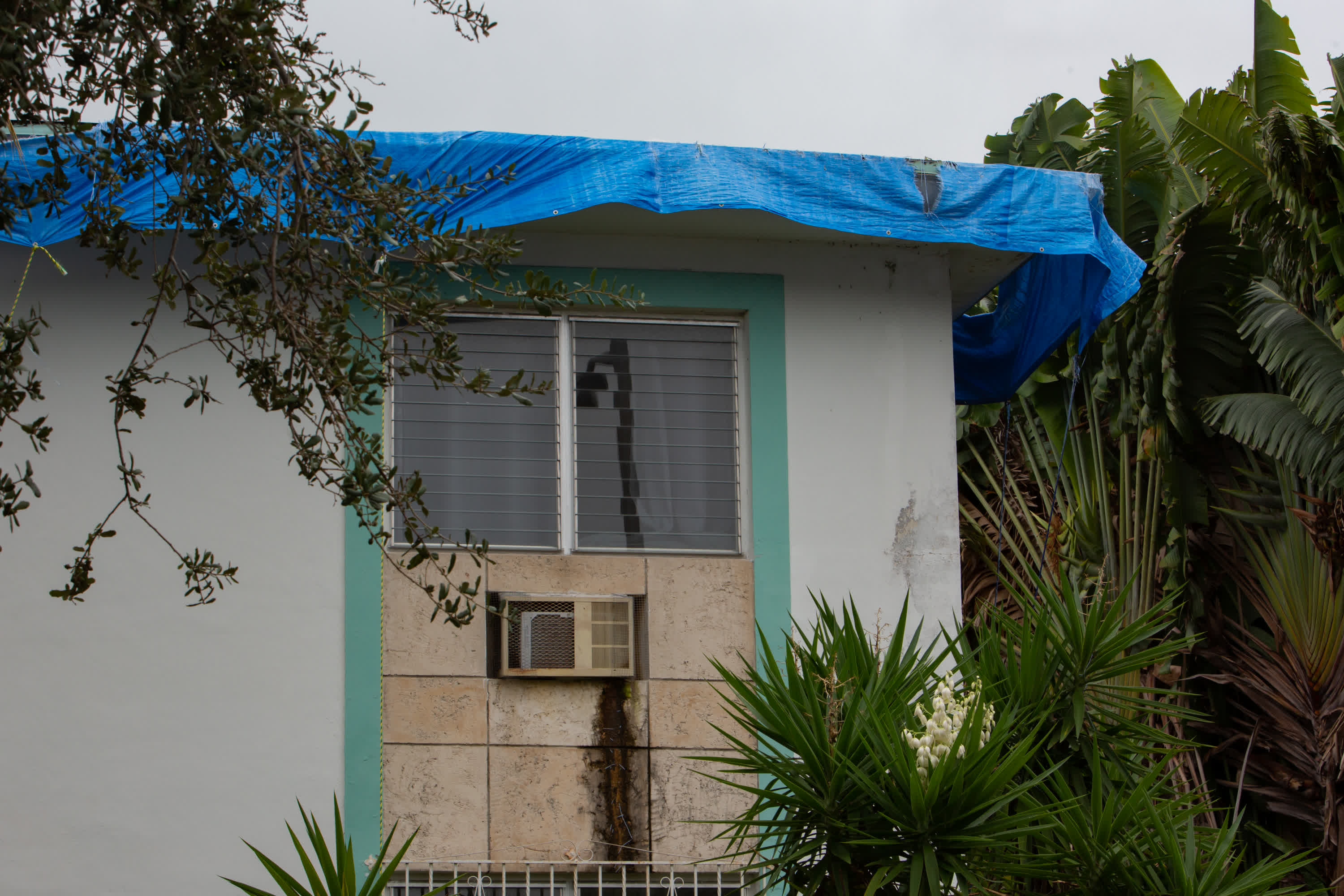 9月27日，在美國佛羅里達州邁阿密，一處建築用防水材料加固了屋頂。（新華社）