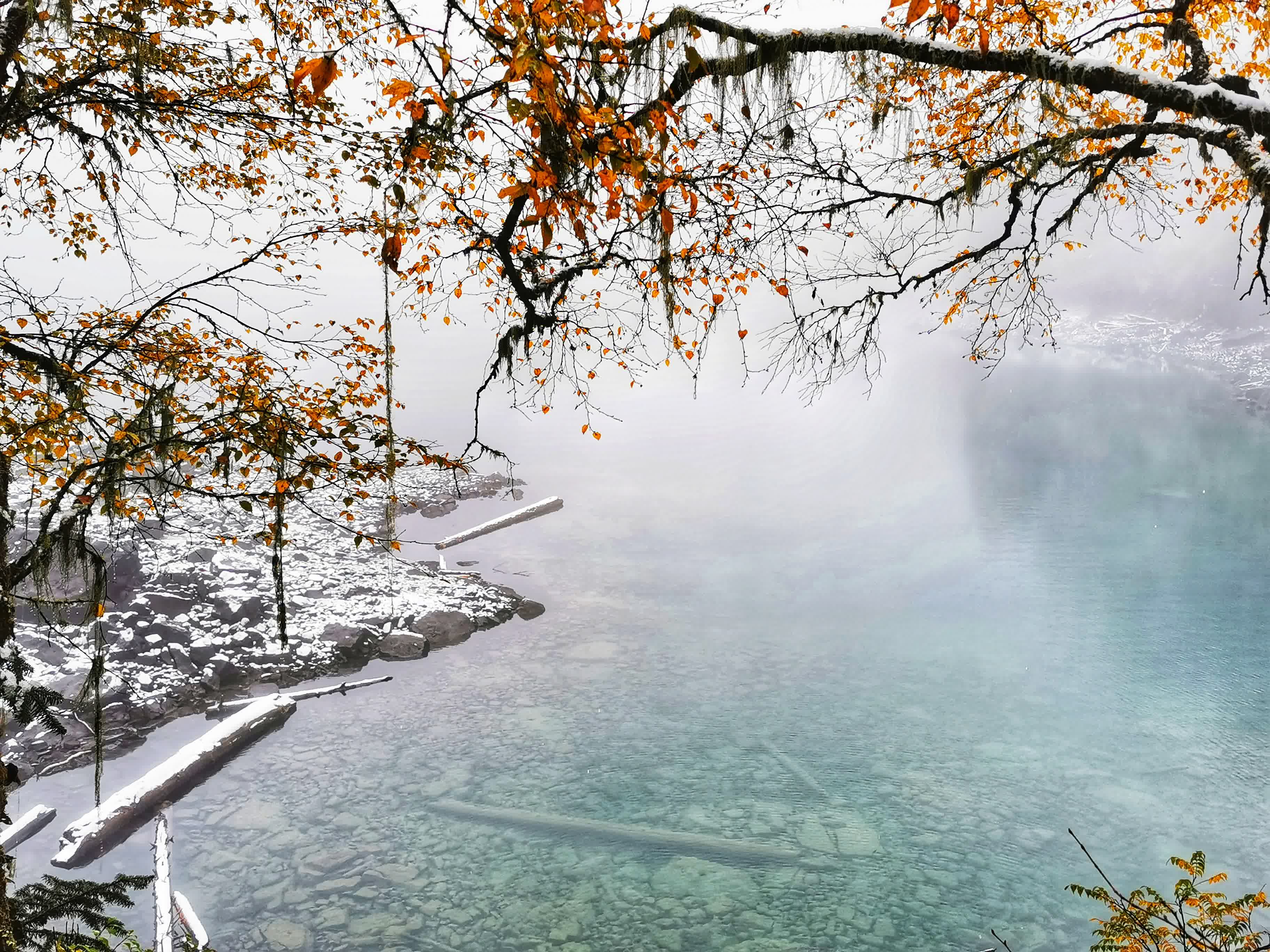 這是10月7日在世界自然遺產地九寨溝拍攝的雪後景色。（新華社）