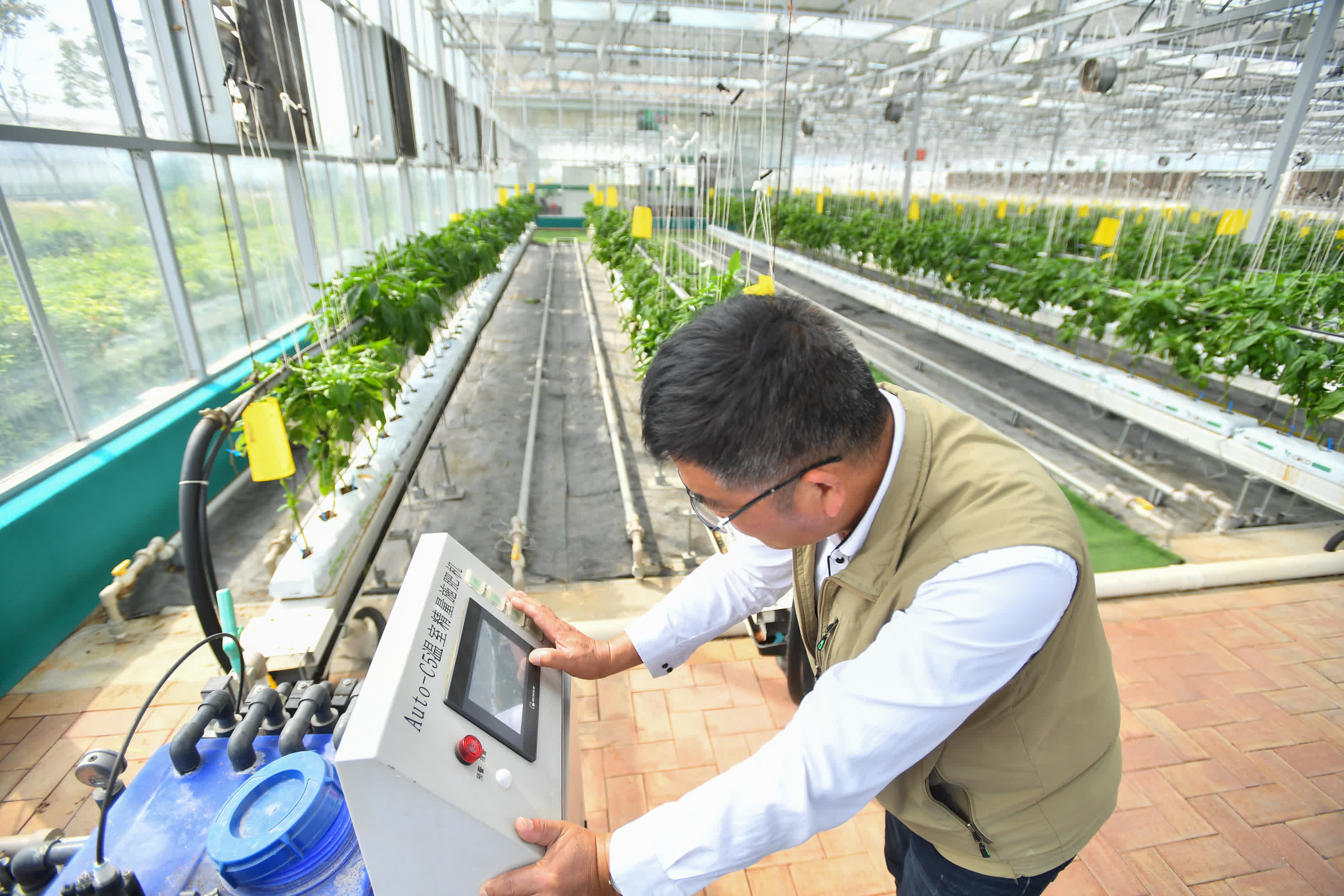 10月21日，在長沙市望城區靖港鎮眾興社區的辣椒基地，工作人員操作溫室精量施肥機。（新華社）