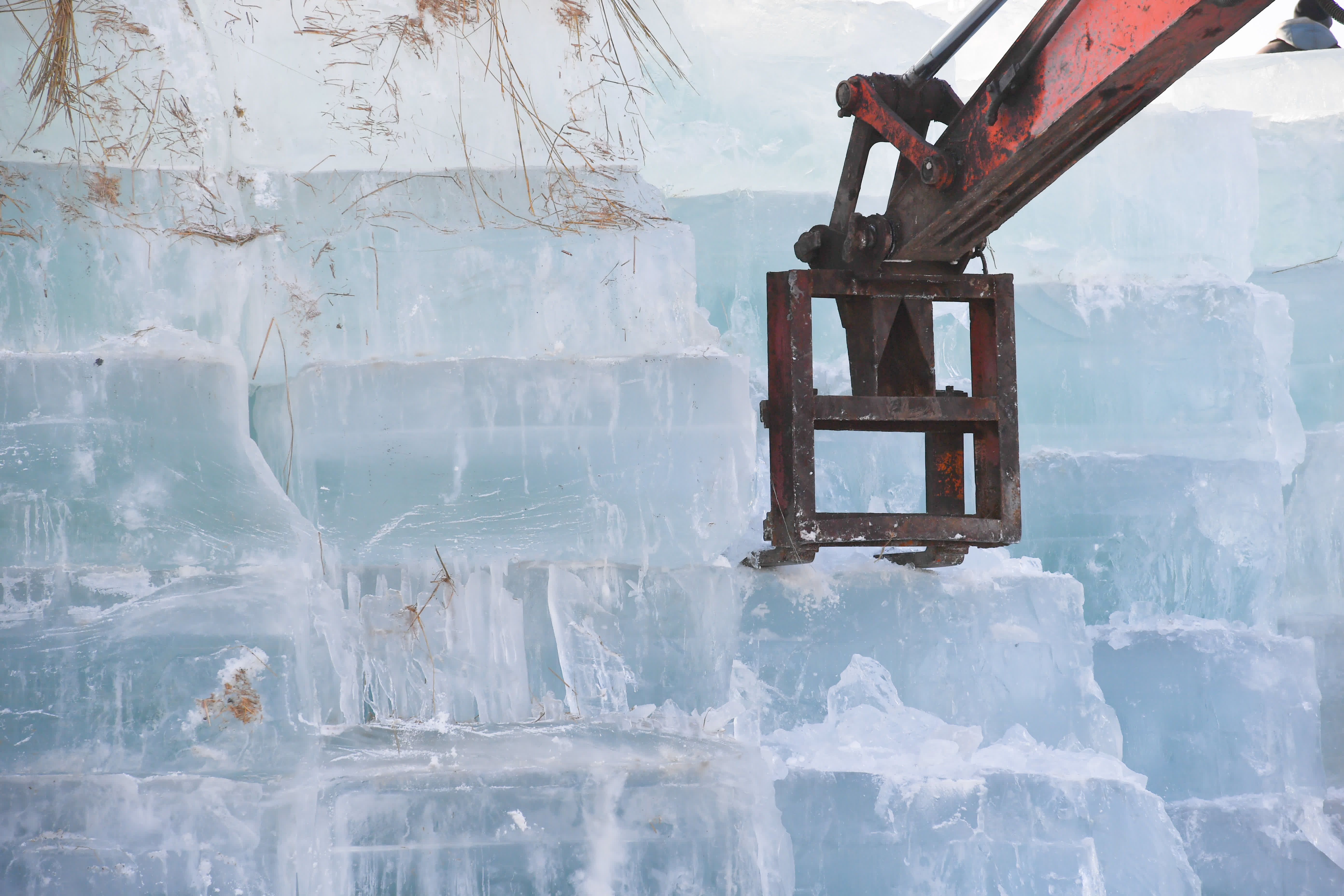 這是哈爾濱冰雪大世界4萬立方米存冰的取冰現場（11月26日攝）。（新華社）