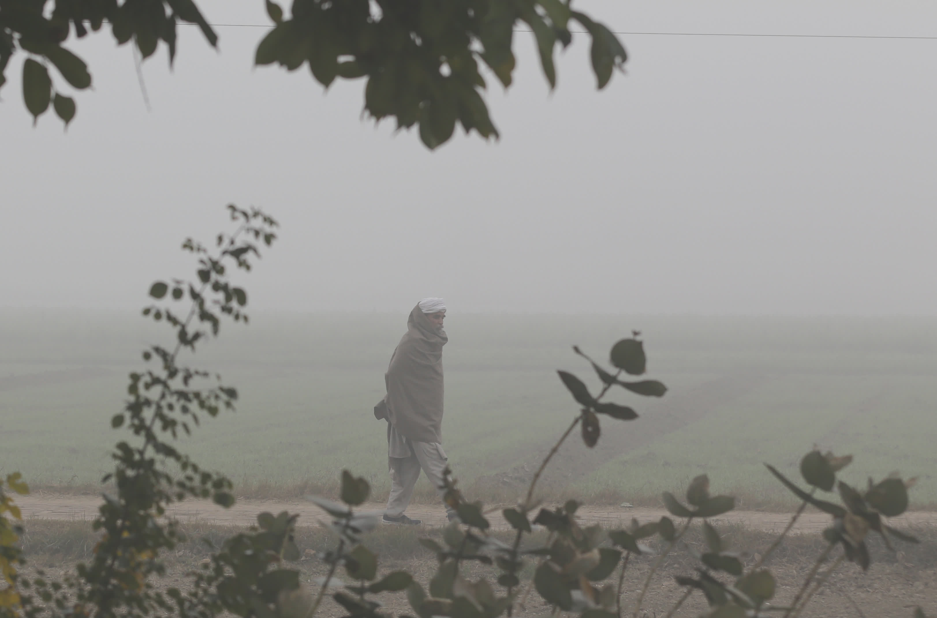 1月9日，在印度旁遮普邦阿姆利則，一名男子在霧中行走。（新華社）