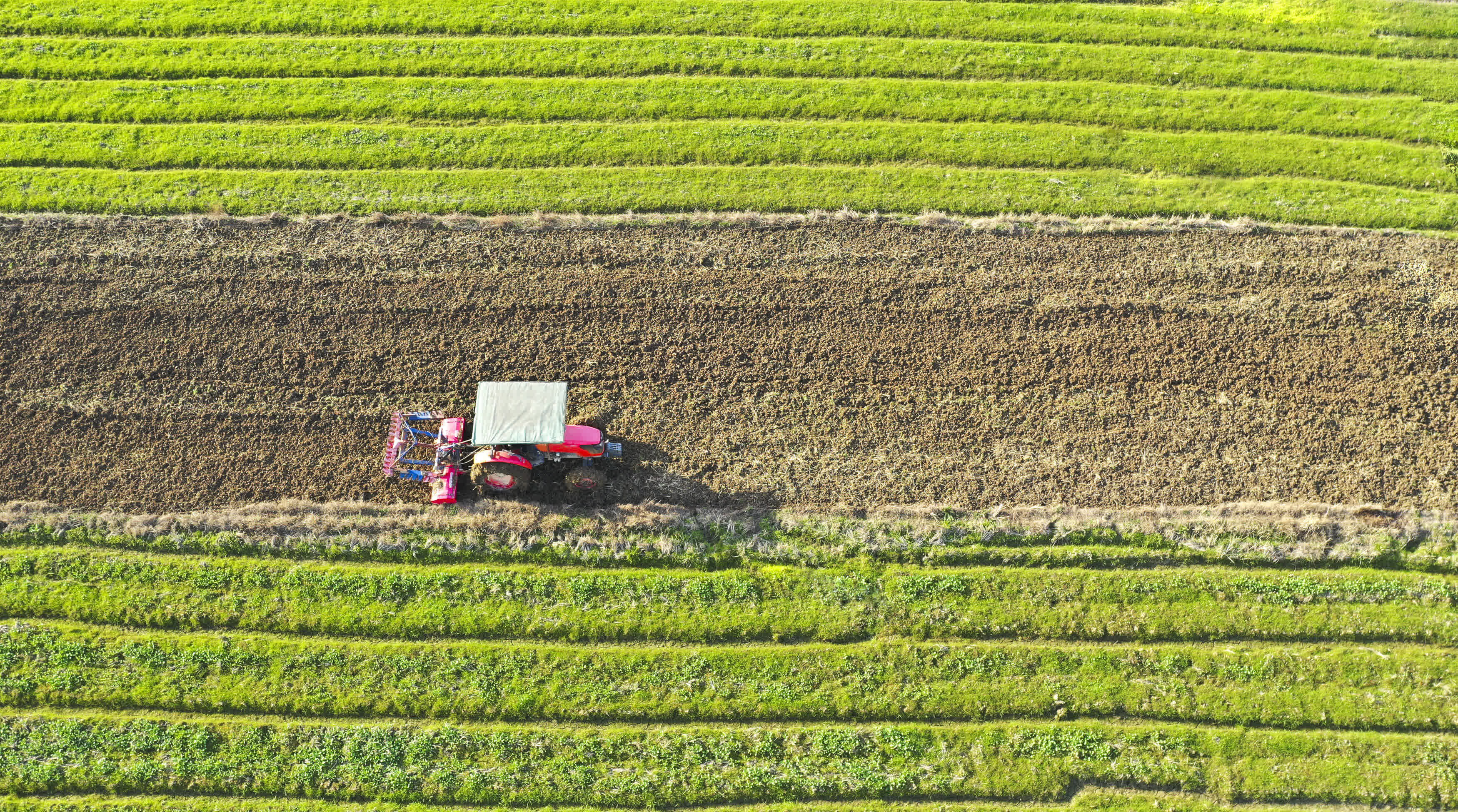1月28日，湖南省常寧市三角塘鎮江南村村民駕駛農機翻耕農田（無人機照片）。（新華社）