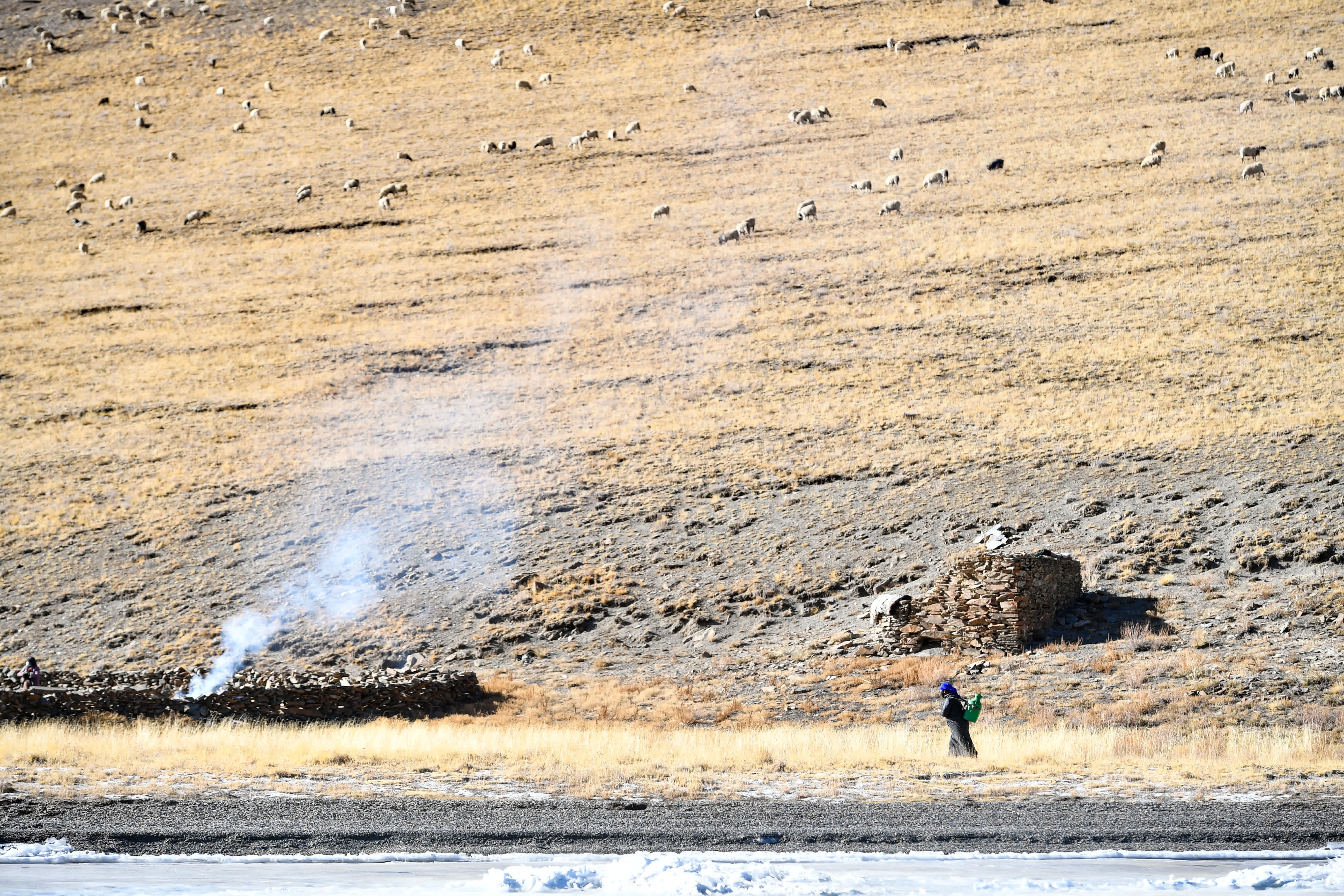 西藏山南市浪卡子縣推瓦村的牧民抵達湖心島。（中新社）
