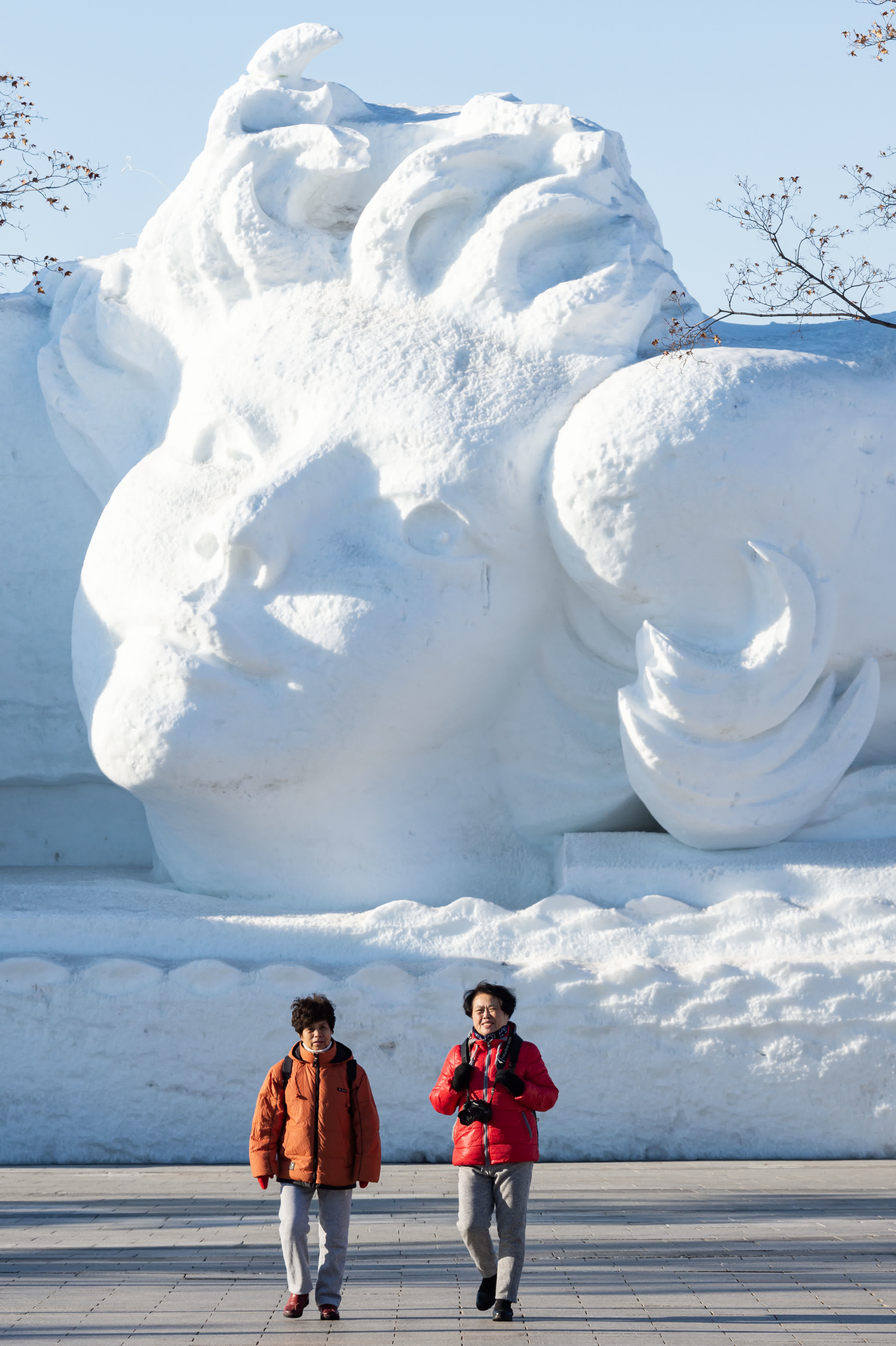 2月25日，遊客在哈爾濱太陽島雪博會園區遊玩。