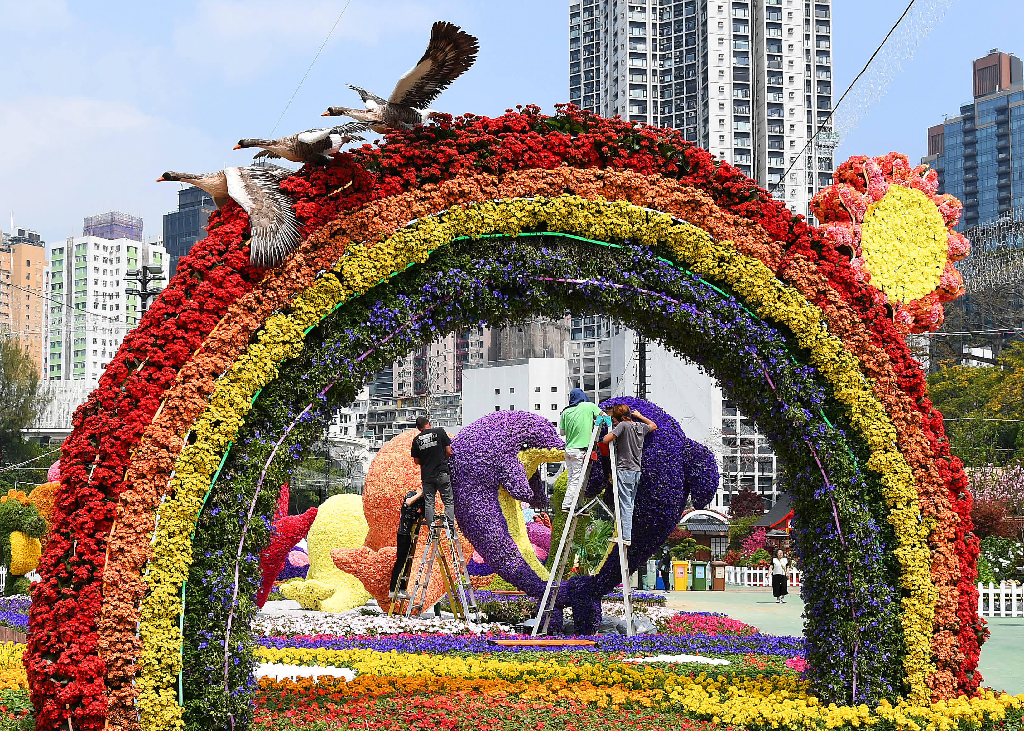 3月9日，工作人員在為2023年香港花卉展覽做準備。