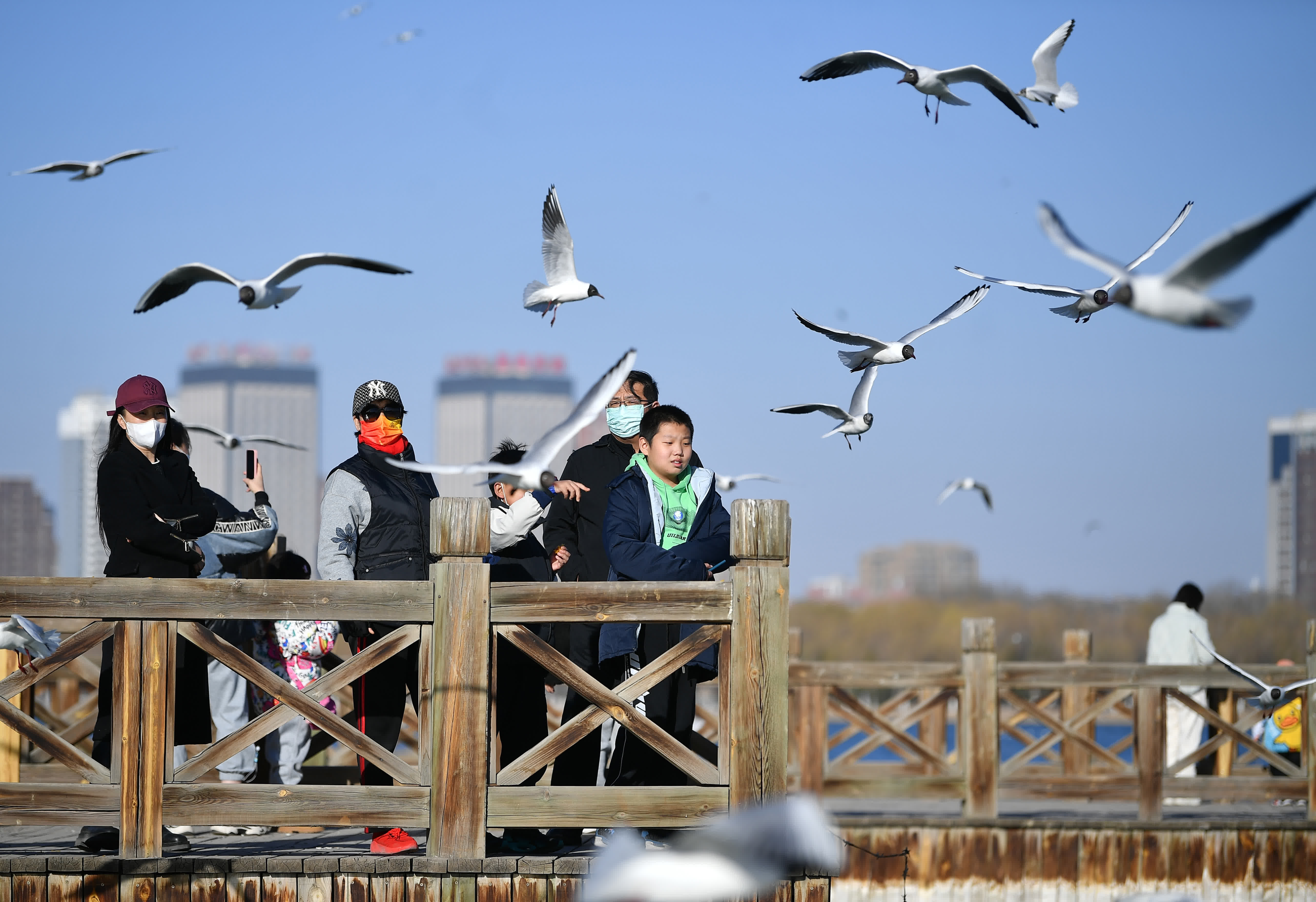 市民在銀川市海寶公園觀賞候鳥。（新華社）