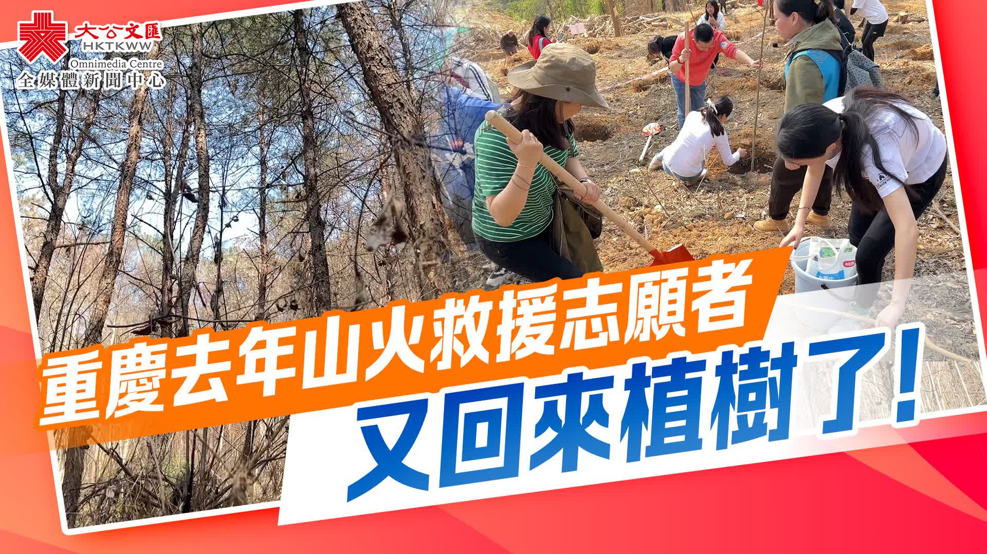 重慶去年山火救援志願者又回來植樹了！ - 新聞 - 香港文匯網