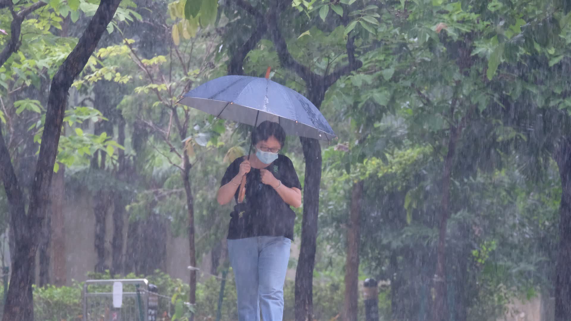 黃雨警告取消 明日降溫續有驟雨雷暴 - 香港 - 香港文匯網