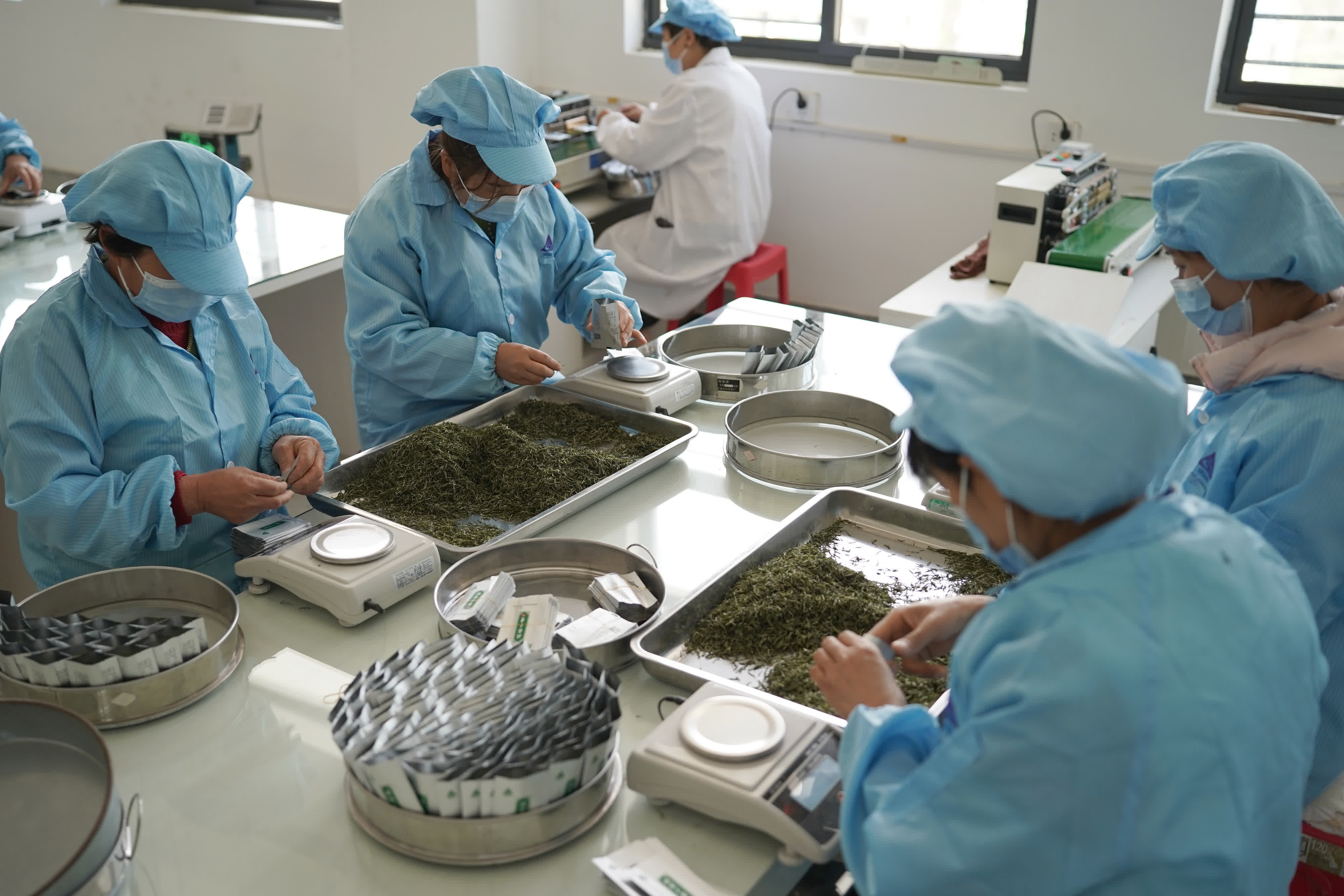 3月30日，工人在安康市漢濱區雙龍鎮一家茶企生產車間包裝茶葉。（新華社）