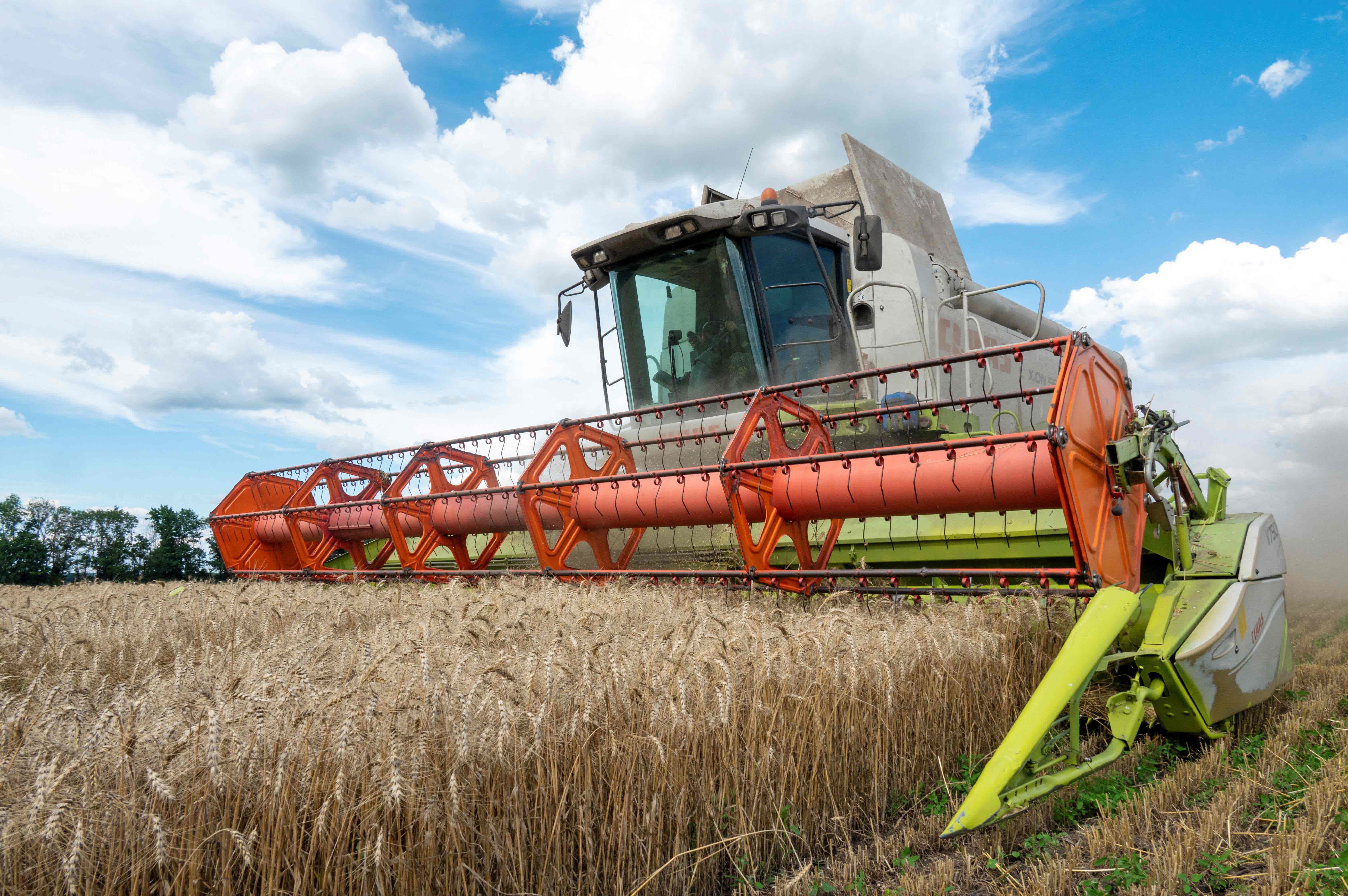 波蘭農業部長稱將維持烏克蘭農產品進口禁令