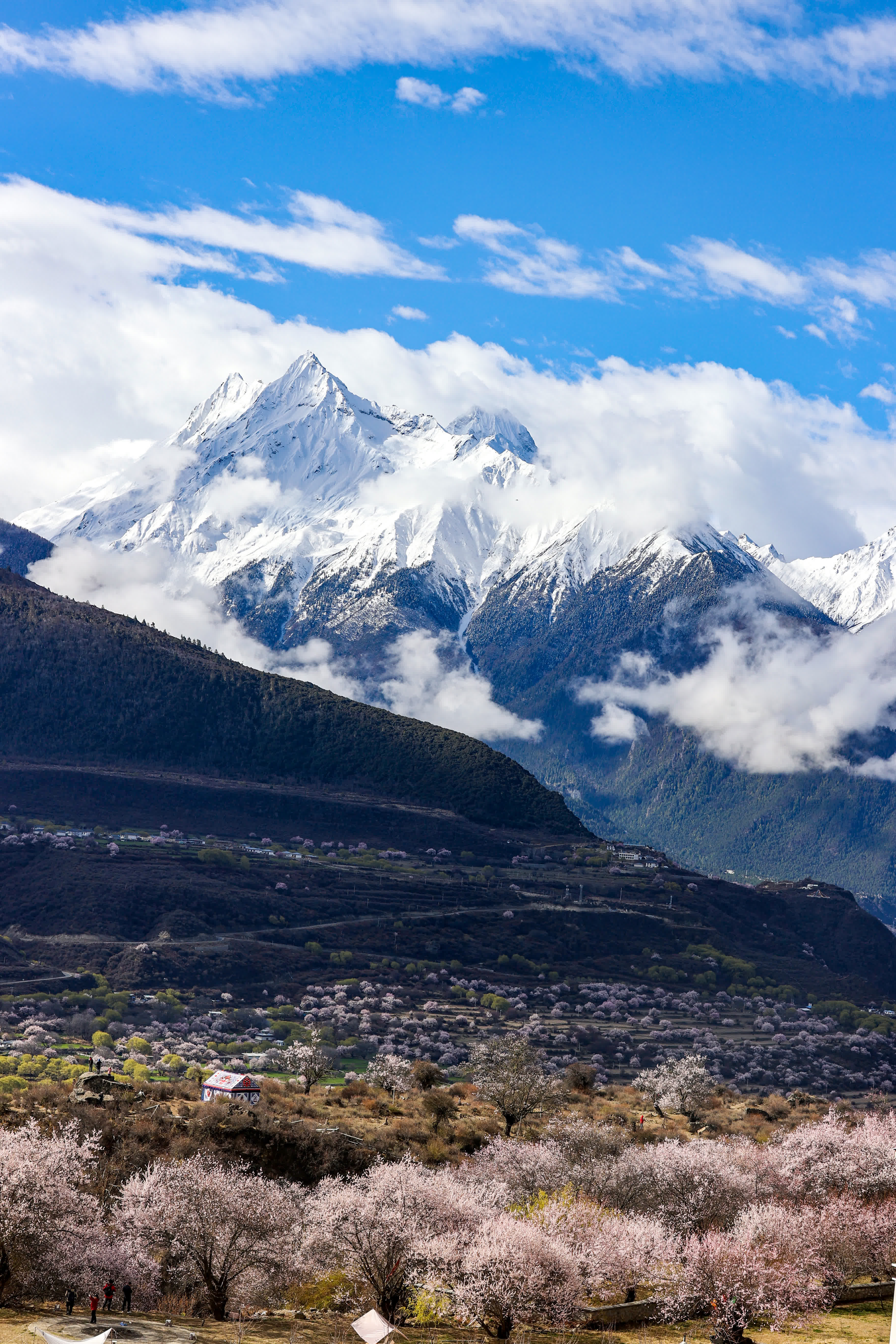 俯瞰索松村的桃花林。（新華社）