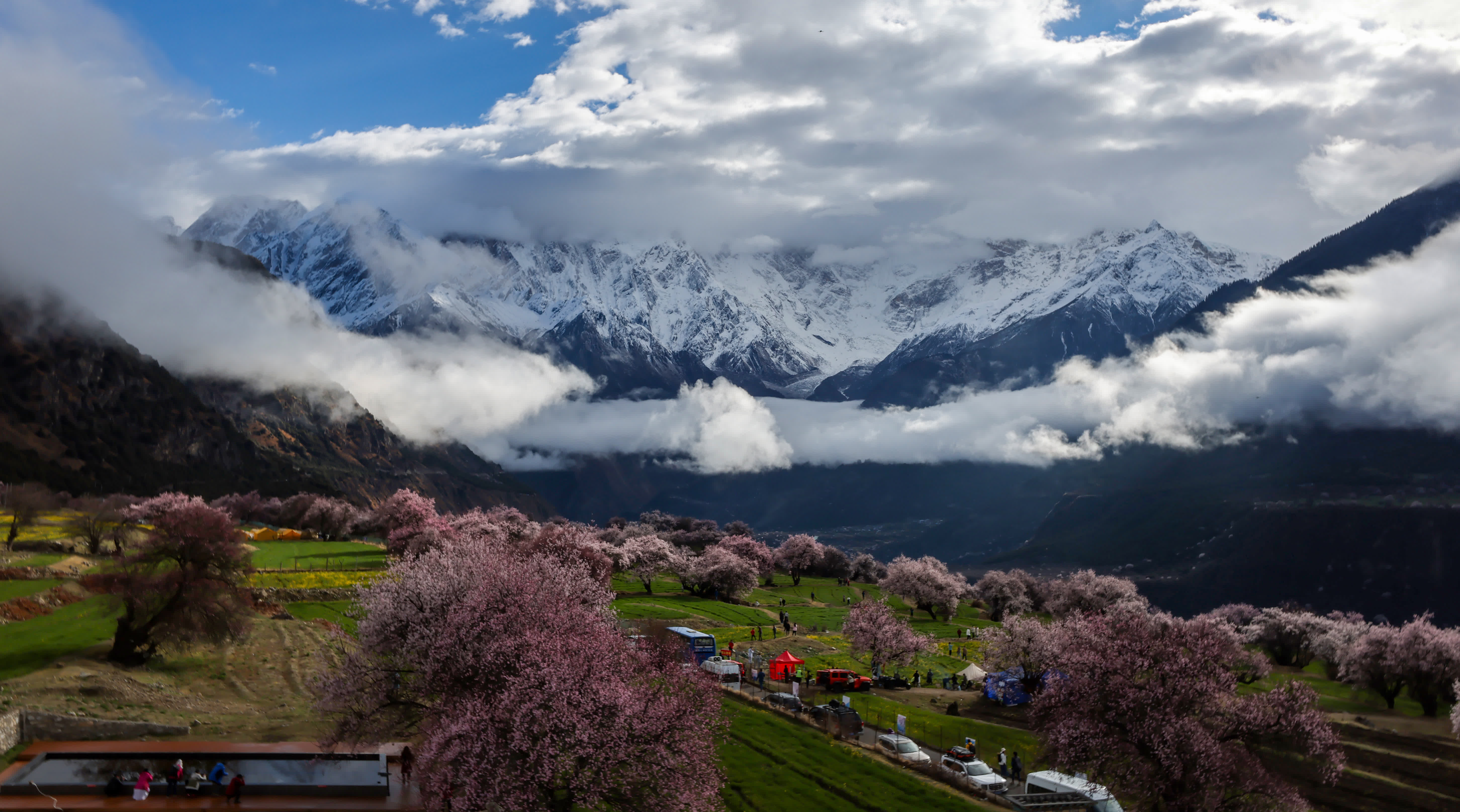 索松村的桃花林。（新華社）