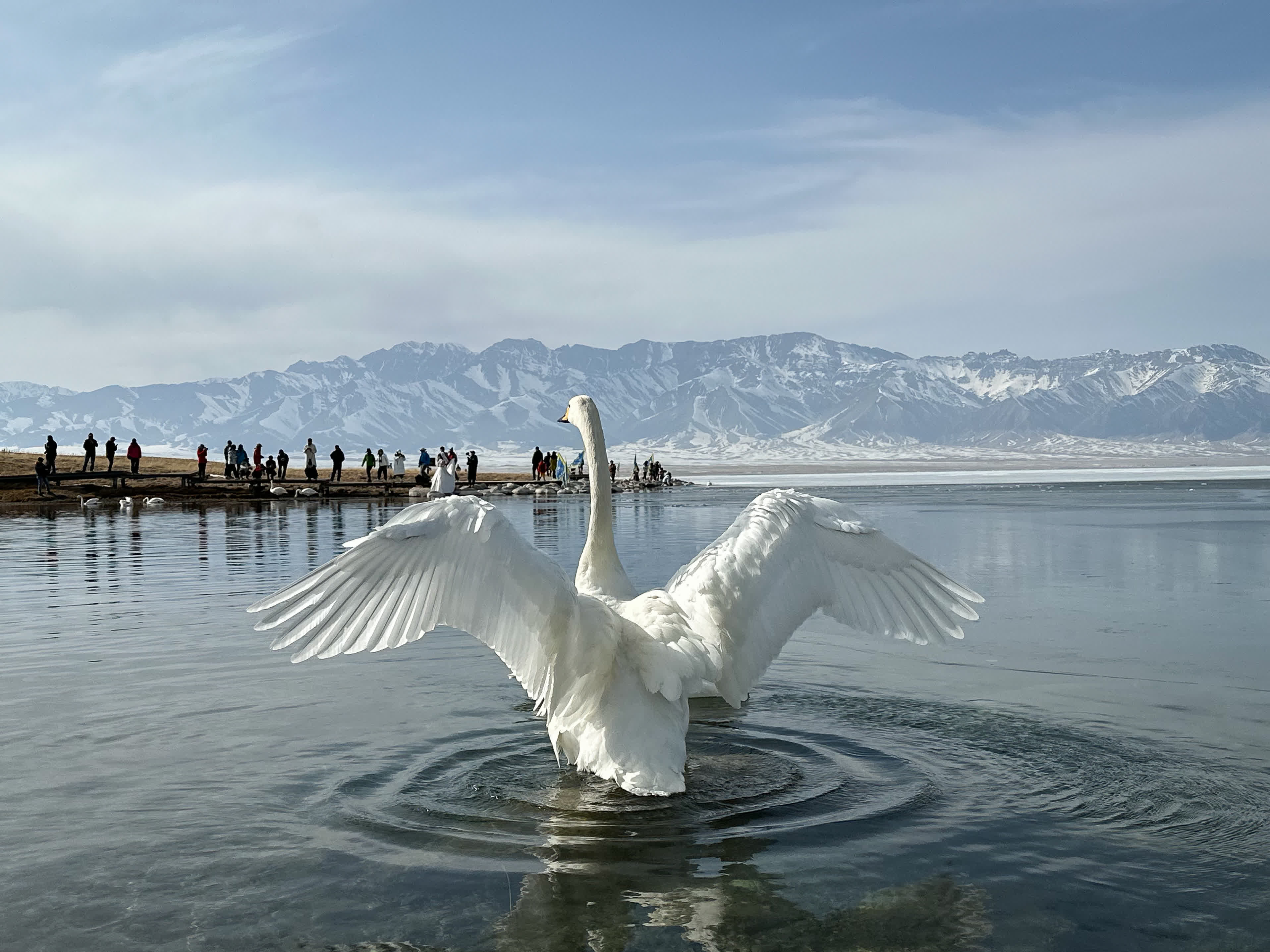 4月6日，遊客在賽里木湖畔拍照留念。（新華社）