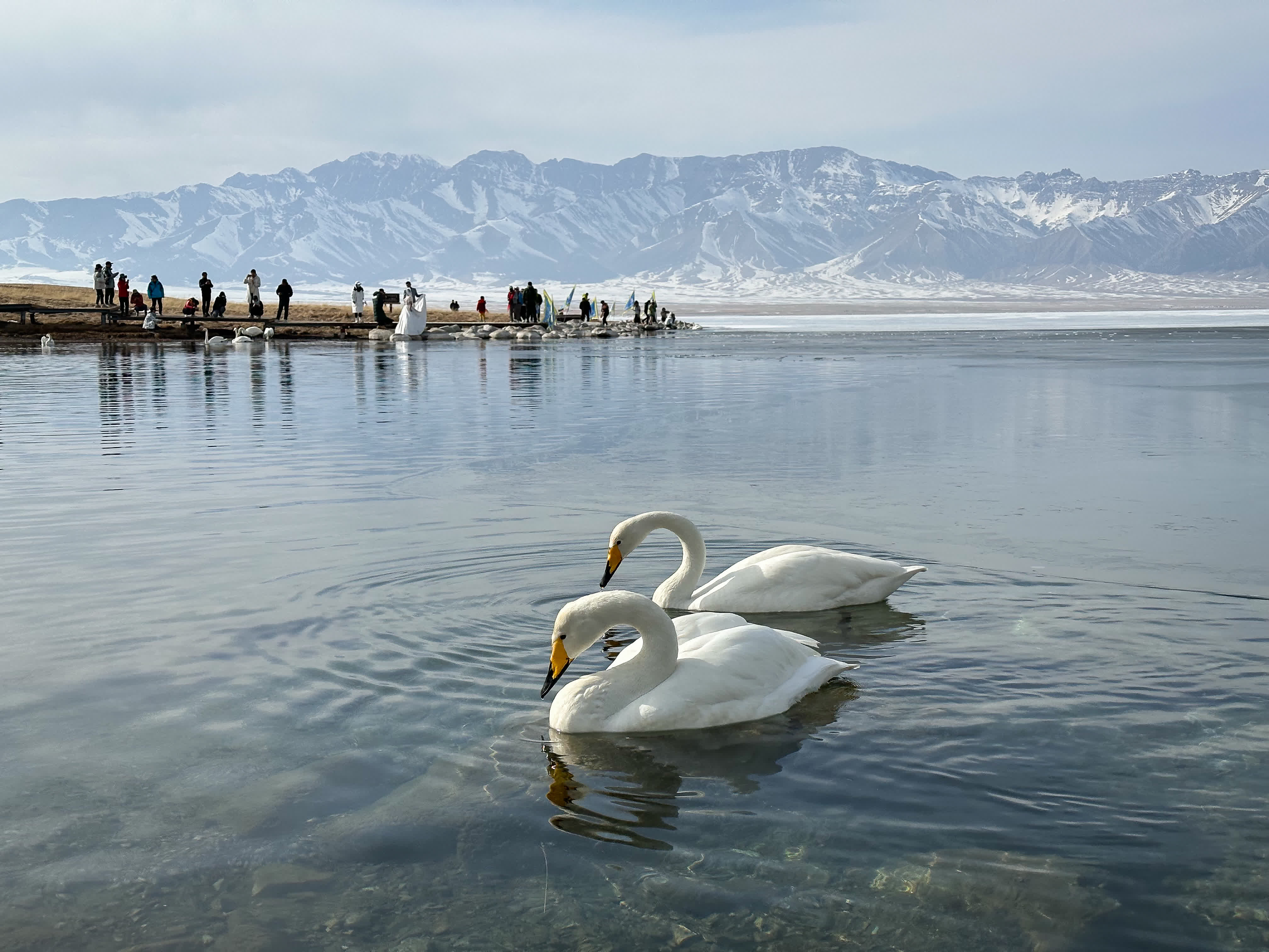 4月6日，遊客在賽里木湖畔拍照留念。（新華社）
