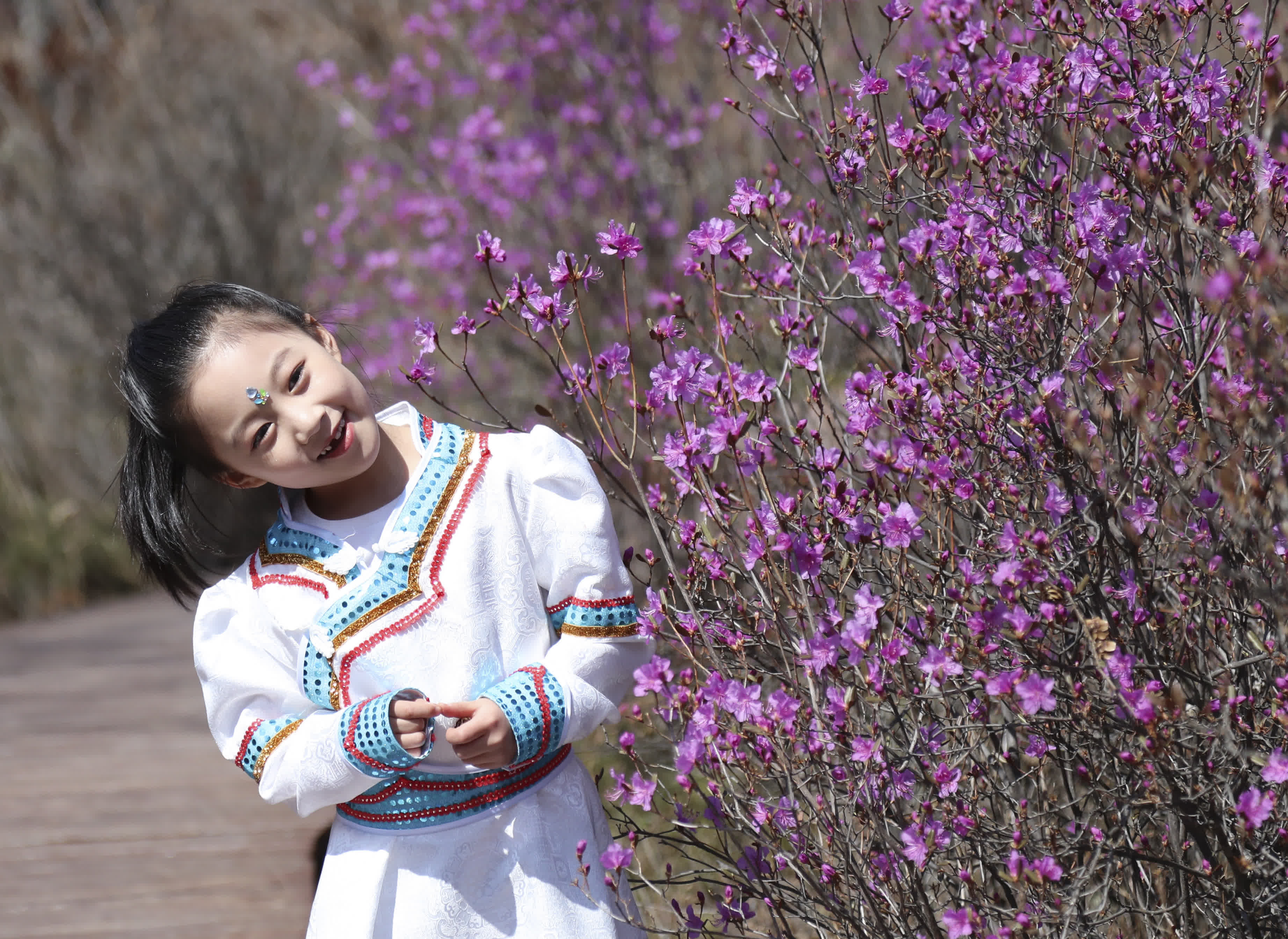 5月6日，小朋友在達爾濱湖國家森林公園與杜鵑花合影。（新華社）