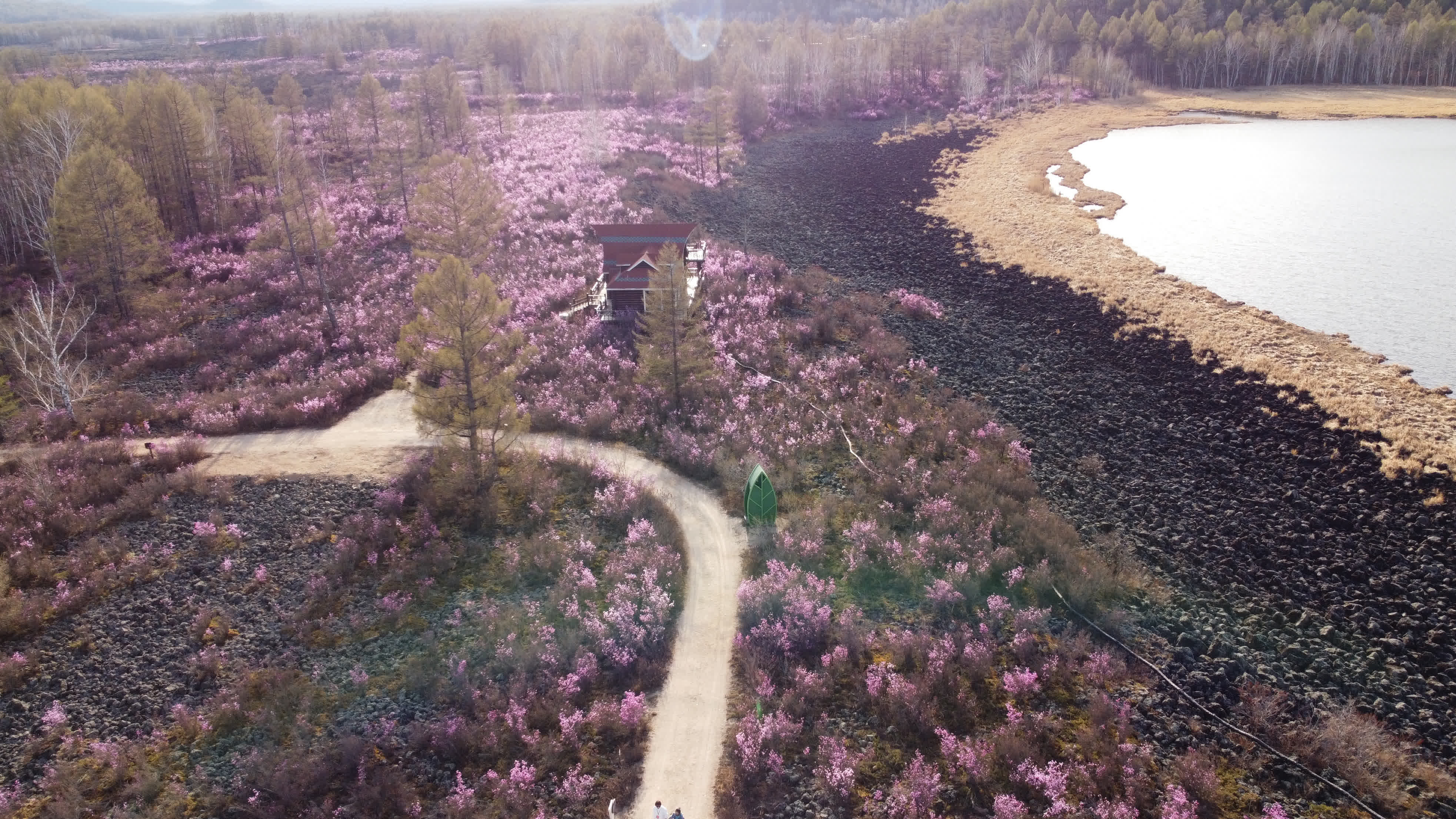 5月5日拍攝的達爾濱湖國家森林公園景色。（新華社）