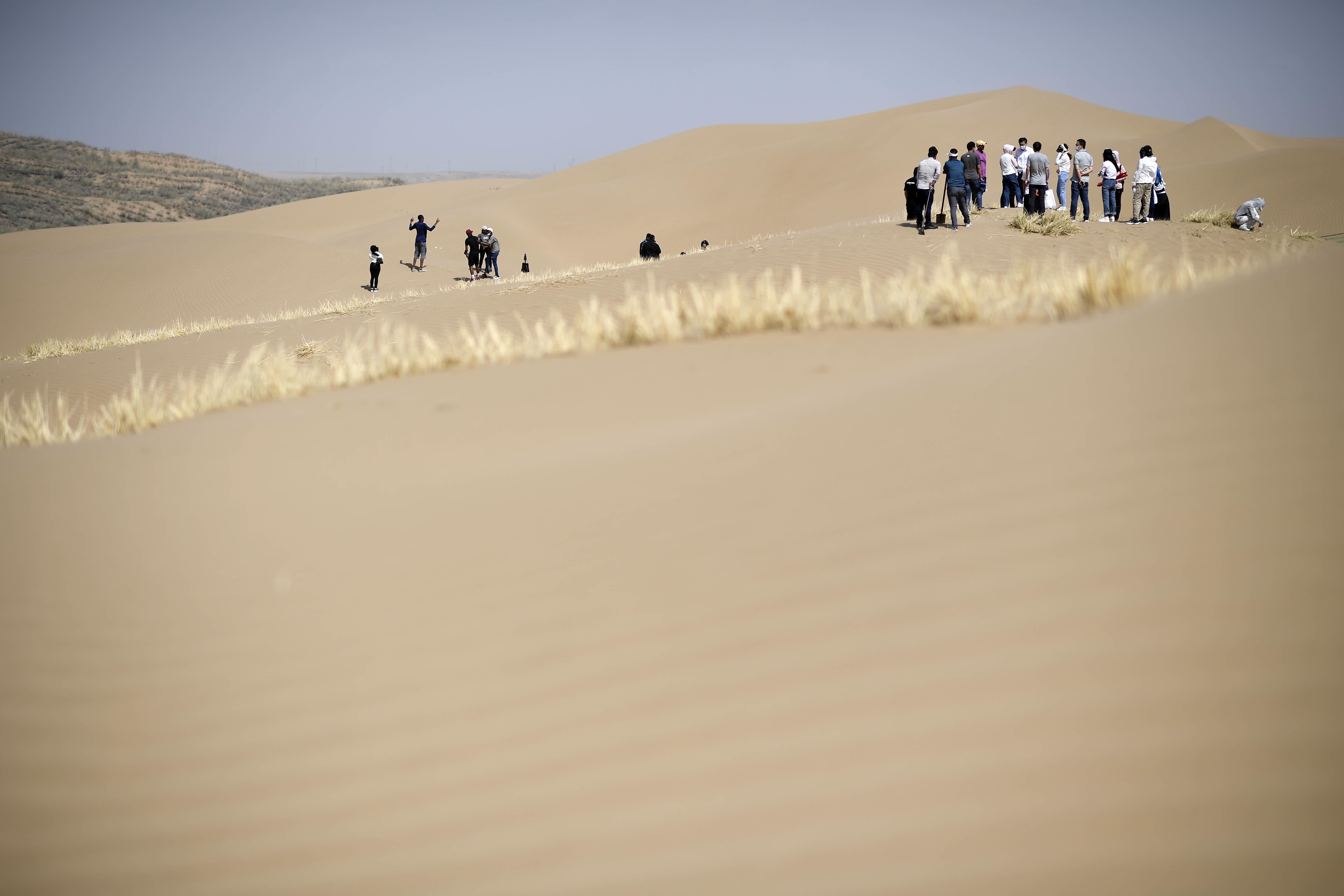 6月16日，留學生在寧夏靈武市白芨灘國家級自然保護區扎草方格。（新華社）