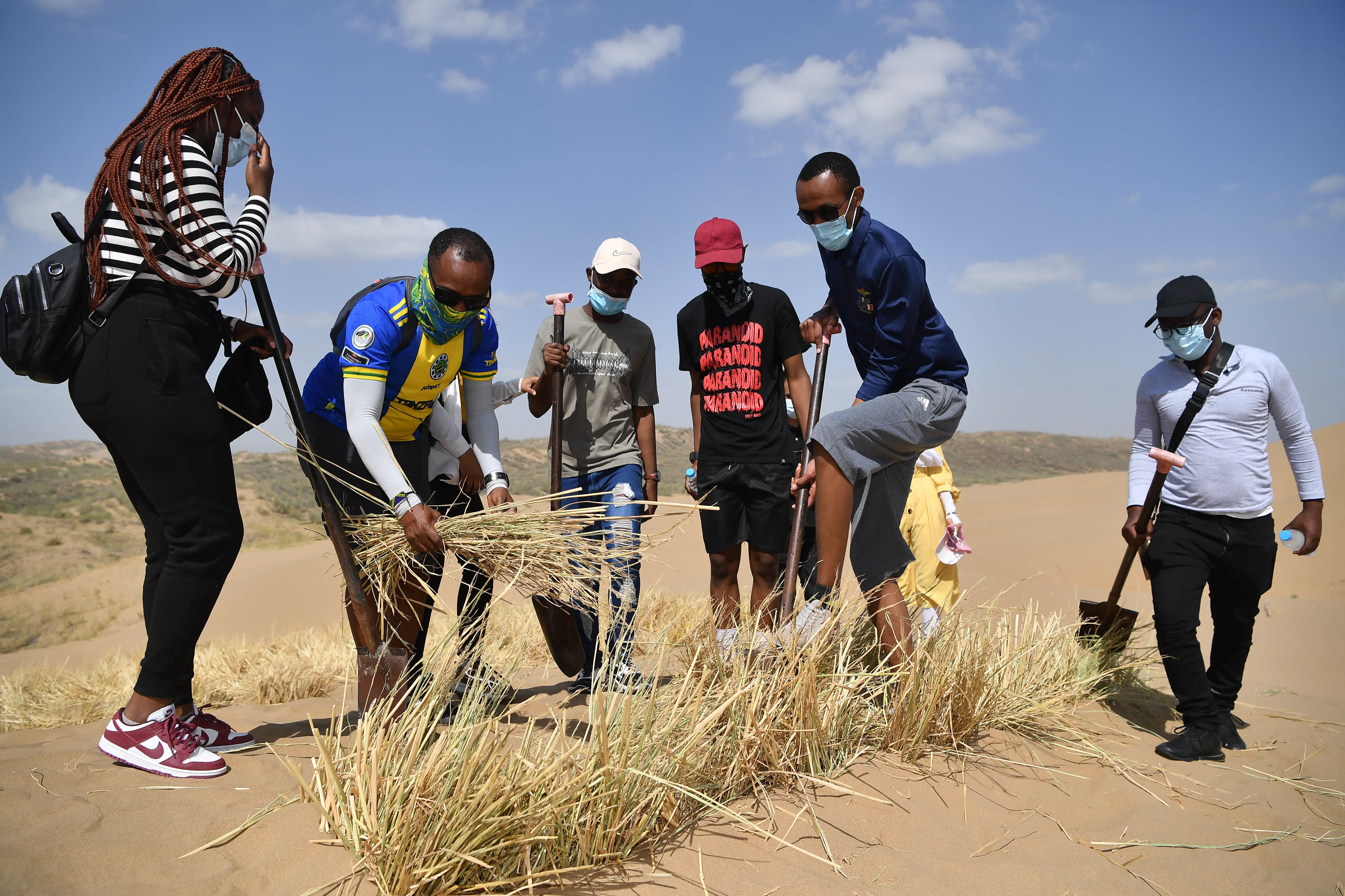 6月16日，留學生在寧夏靈武市白芨灘國家級自然保護區扎草方格。（新華社）